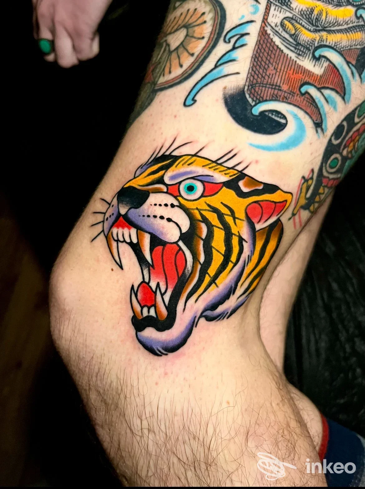 Tatuaggio tradizionale di testa di tigre su gamba, foto di Samuele Briganti - Bold Will Hold Tattoo a Firenze.