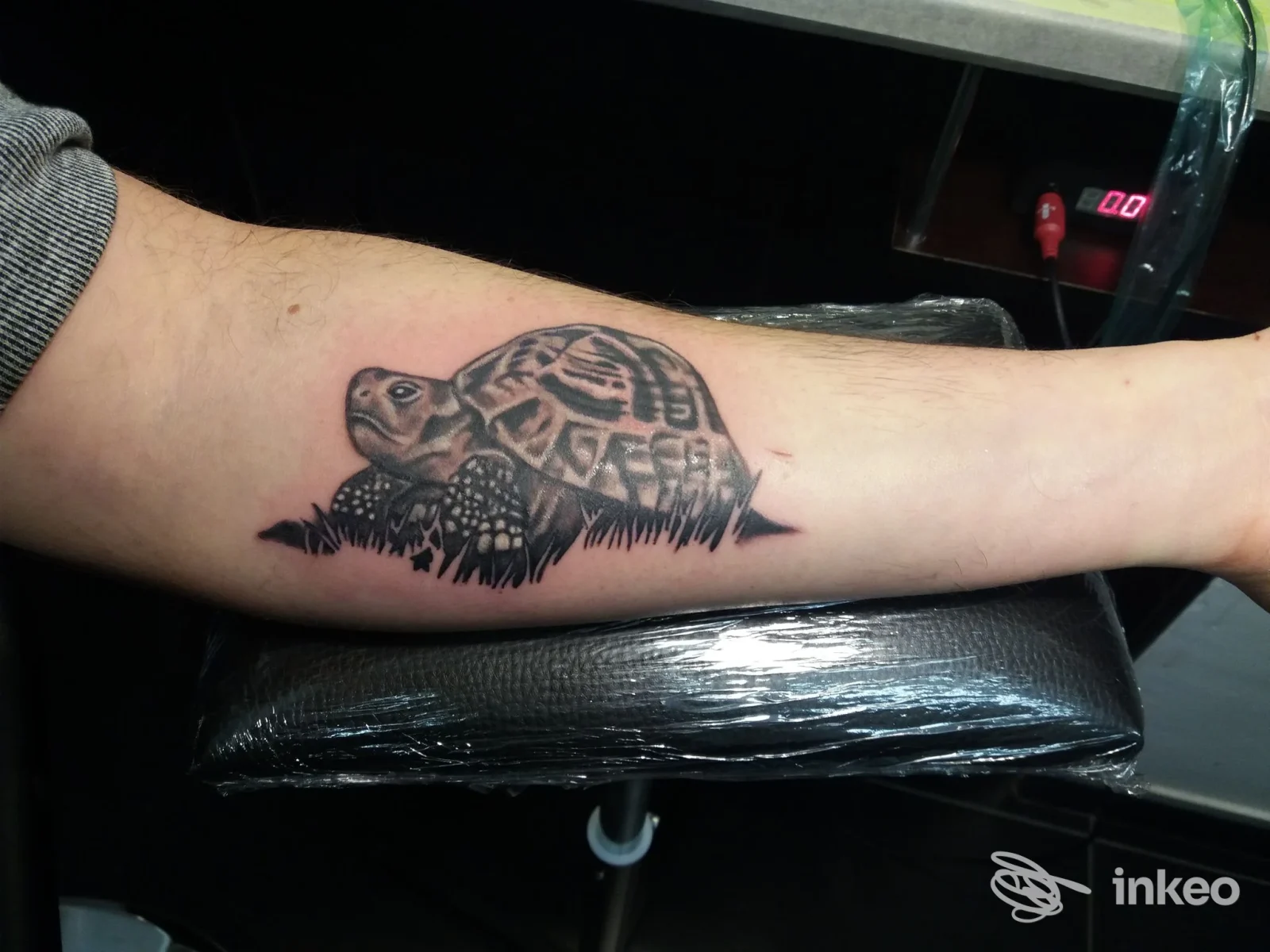 Tatuaggio di una tartaruga in bianco e nero sull'avambraccio, fotografato nello studio Tattoo Shop 669 a Grosseto.