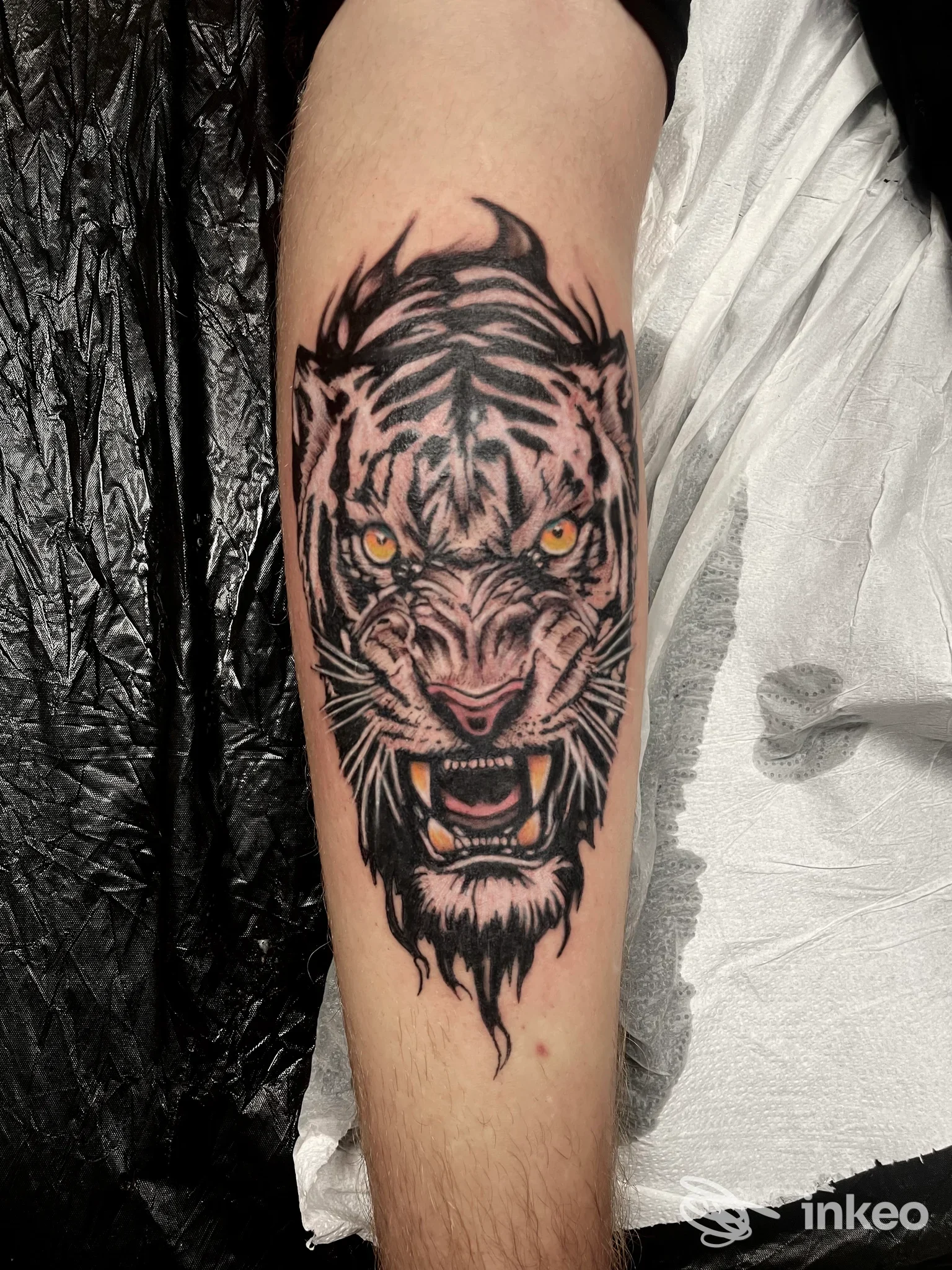 Primo piano di un tatuaggio testa di tigre sull'avambraccio, realizzato da Tattoo lo Schizzato a Monsummano Terme.