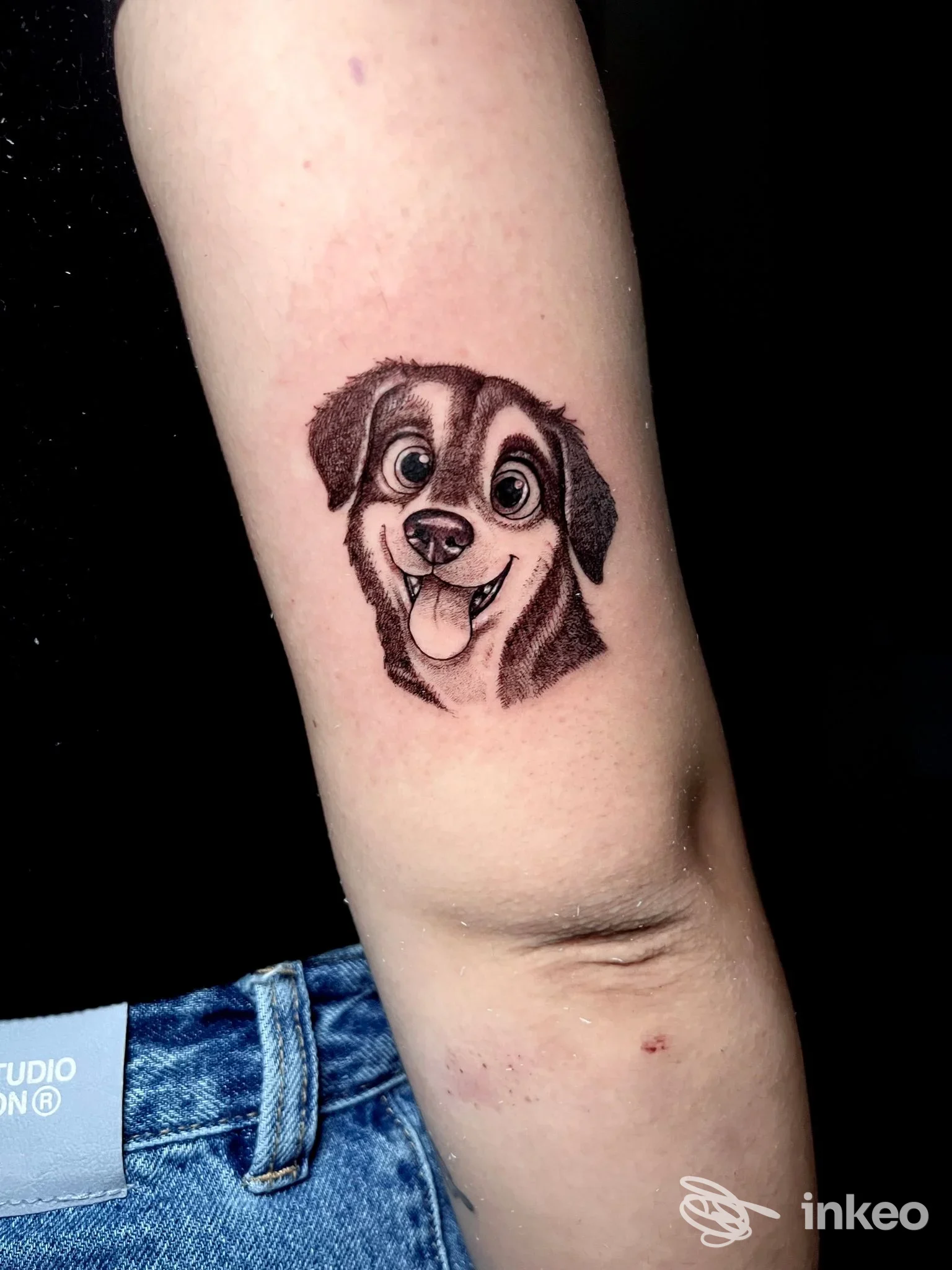 Tatuaggio realistico di muso di cane sul lato interno dell'avambraccio, eseguito da Tattoo lo Schizzato a Monsummano Terme.