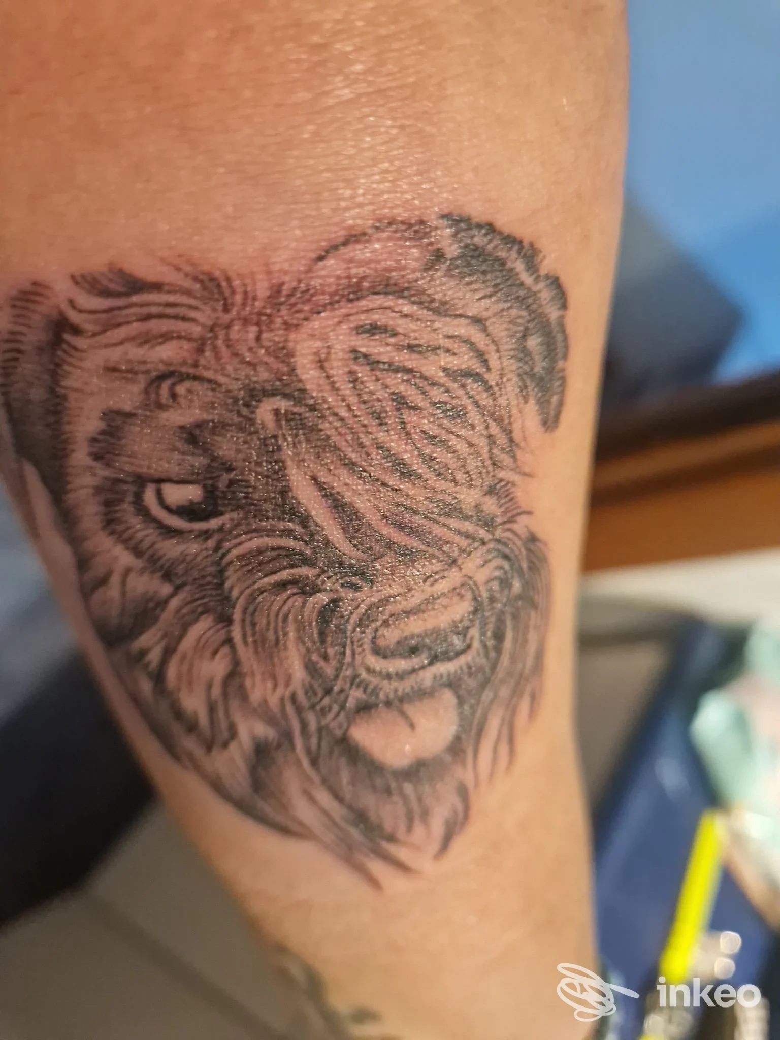 Tatuaggio a inchiostro nero/grigio della testa di un bisonte sull'avambraccio, foto fornita dallo studio Tattoozone Di Grassolini Valentina & Atma Lai a Bagno a Ripoli.