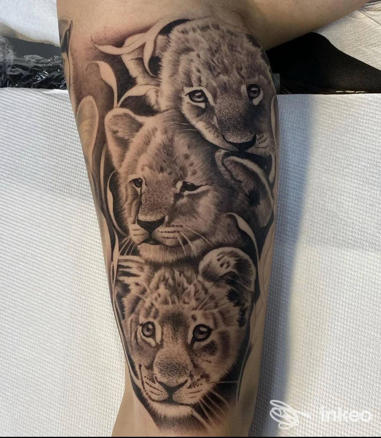 Tatuaggio realistico in bianco e nero con tre cuccioli di leone sul polpaccio, The Strange Company Piercing&Tattoo, Figline e Incisa Valdarno.