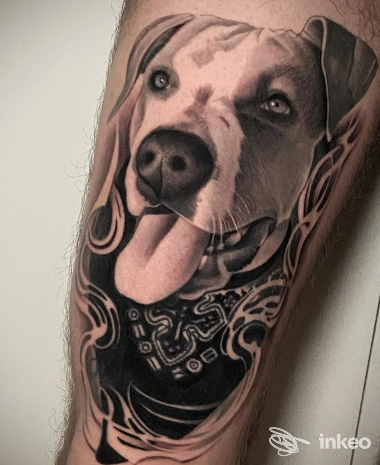 Tatuaggio realistico di un cane sul polpaccio, The Strange Company Piercing&Tattoo, Figline e Incisa Valdarno.