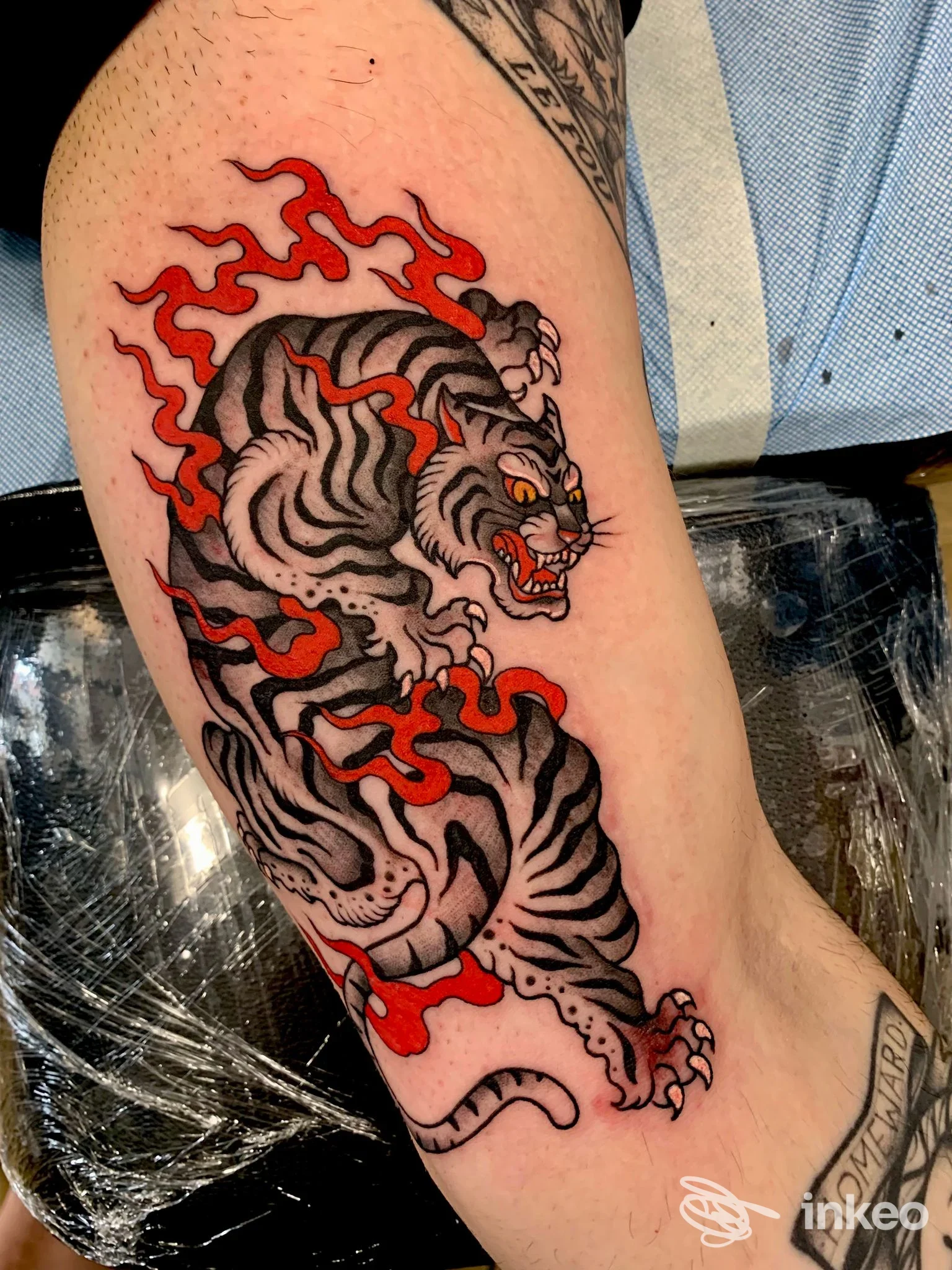 Tatuaggio a tigre in stile tradizionale sul avambraccio, foto fornita da The Black Belt Tattoo, Viareggio.