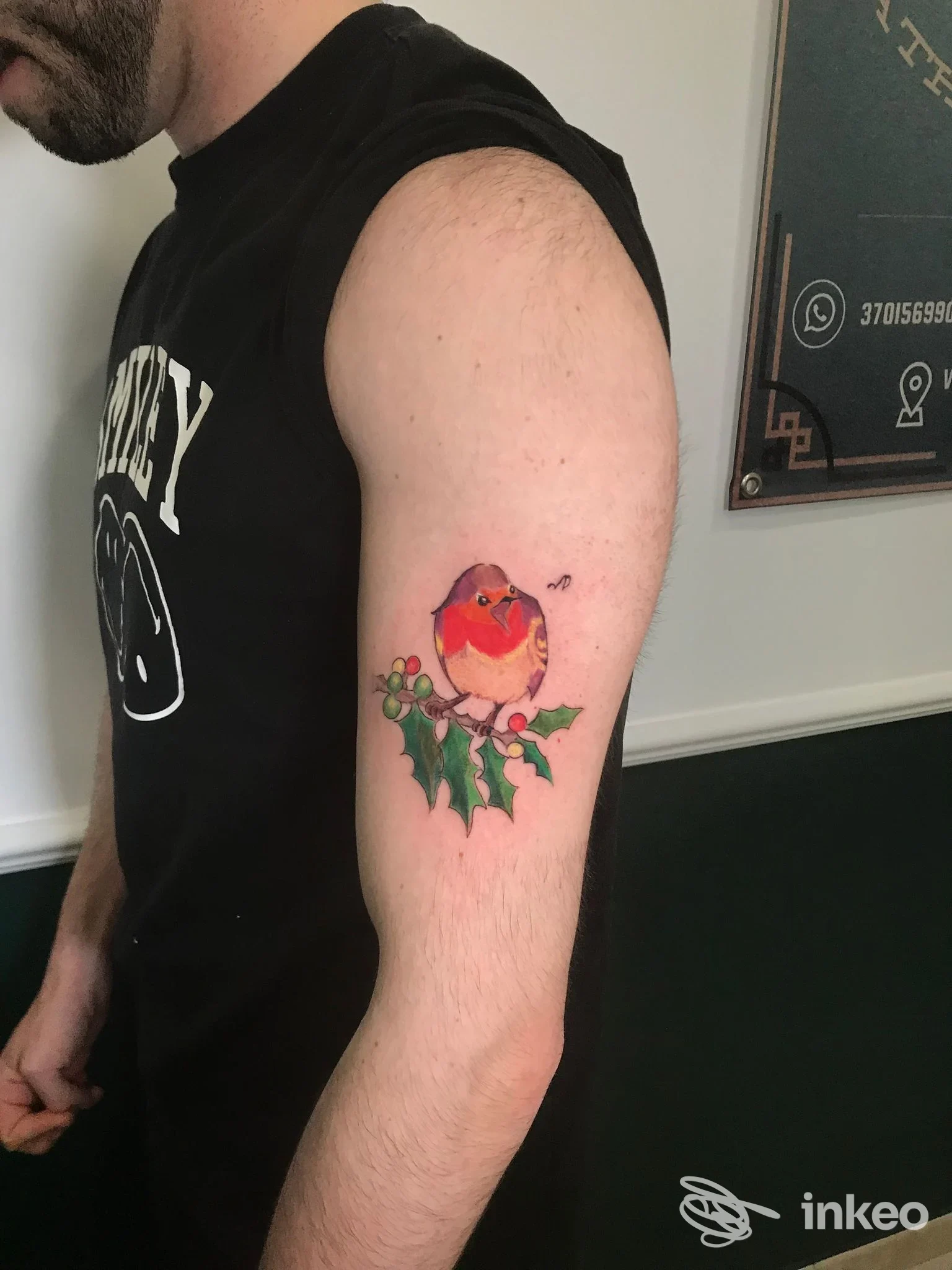 Tatuaggio a colori di un pettirosso su ramo di agrifoglio sul braccio superiore, fotografato presso Thrive Tattoo Shop, Livorno.