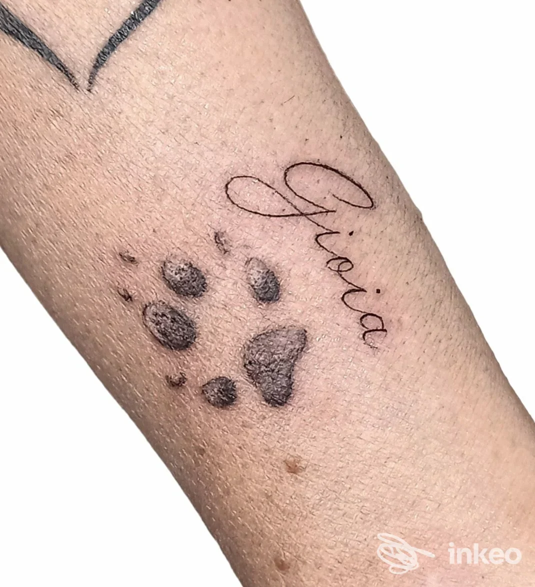 Tatuaggio sull'avambraccio: impronta di zampa nera e scritta in corsivo, fotografia fornita da Thrive Tattoo Shop a Livorno.