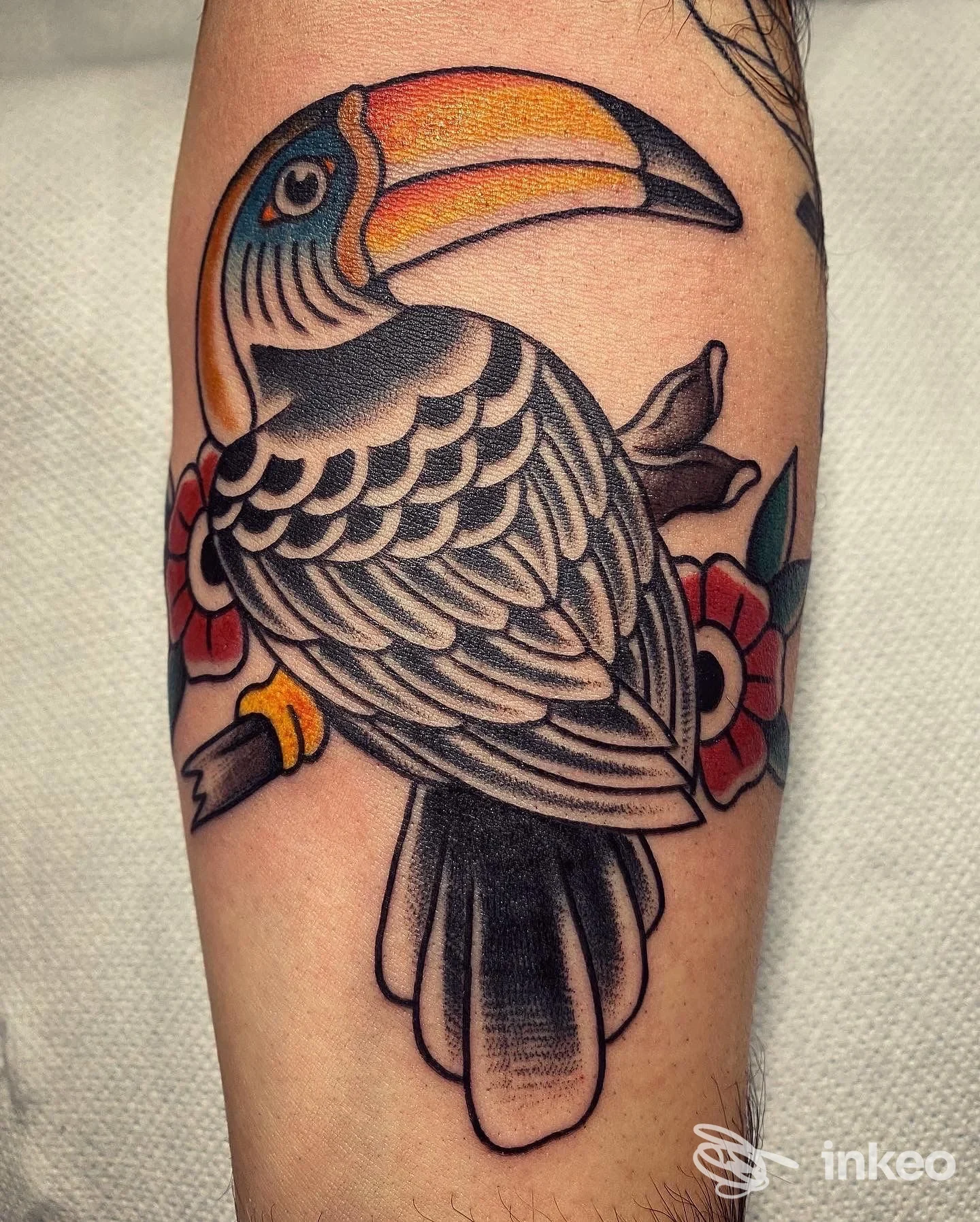 Tatuaggio di tucano colorato sull'avambraccio, Verrocchio Tattoo Shop, Vinci.