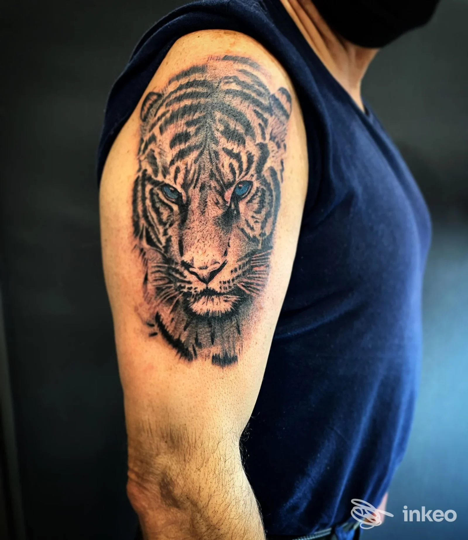 Primo piano del tatuaggio di una tigre sull'omero di un cliente, 50 Sfumature di Tattoo, Arezzo.