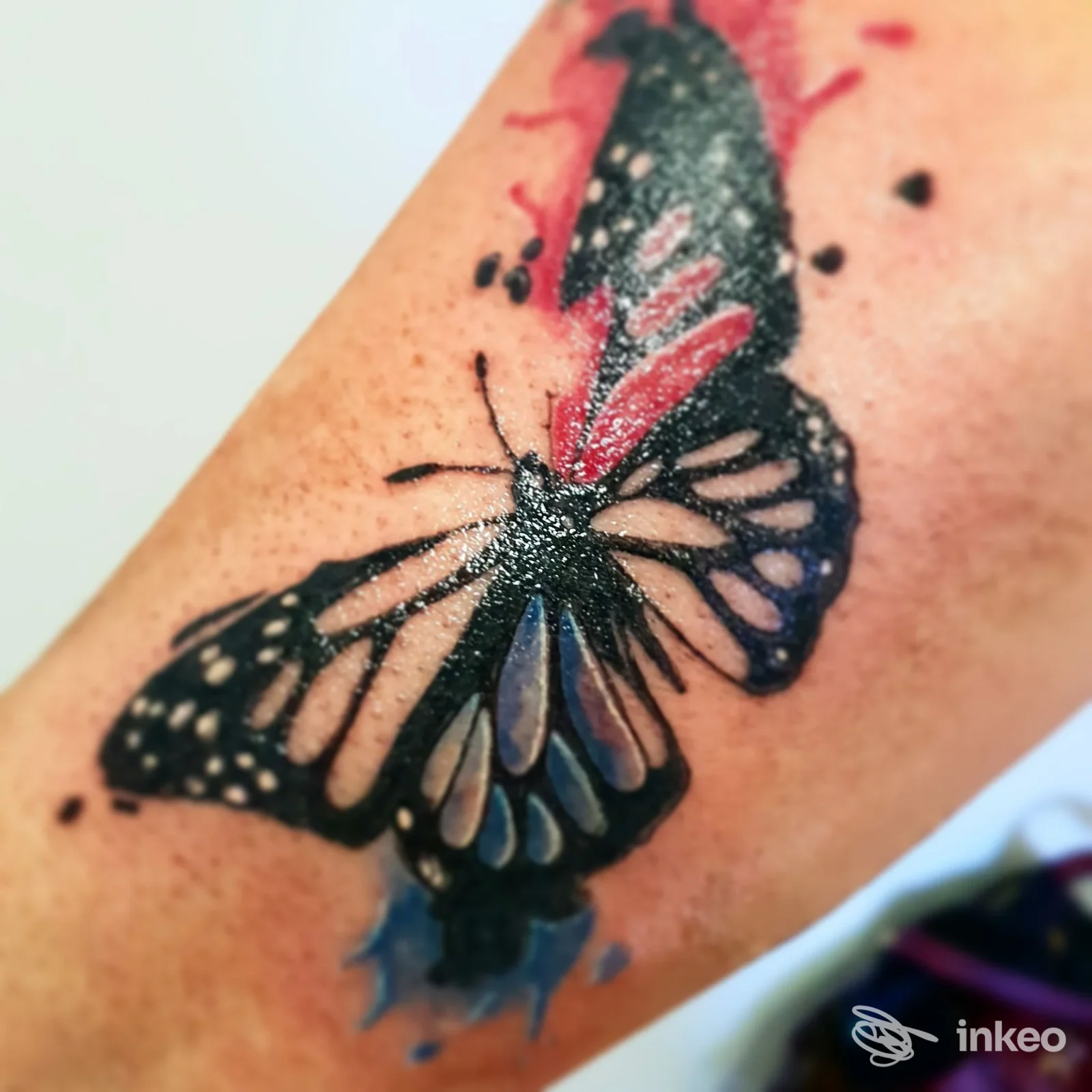 Tatuaggio a forma di farfalla colorata sull'avambraccio, fotografia del lavoro realizzato presso Valkyrja Tattoo Studio, Siena.