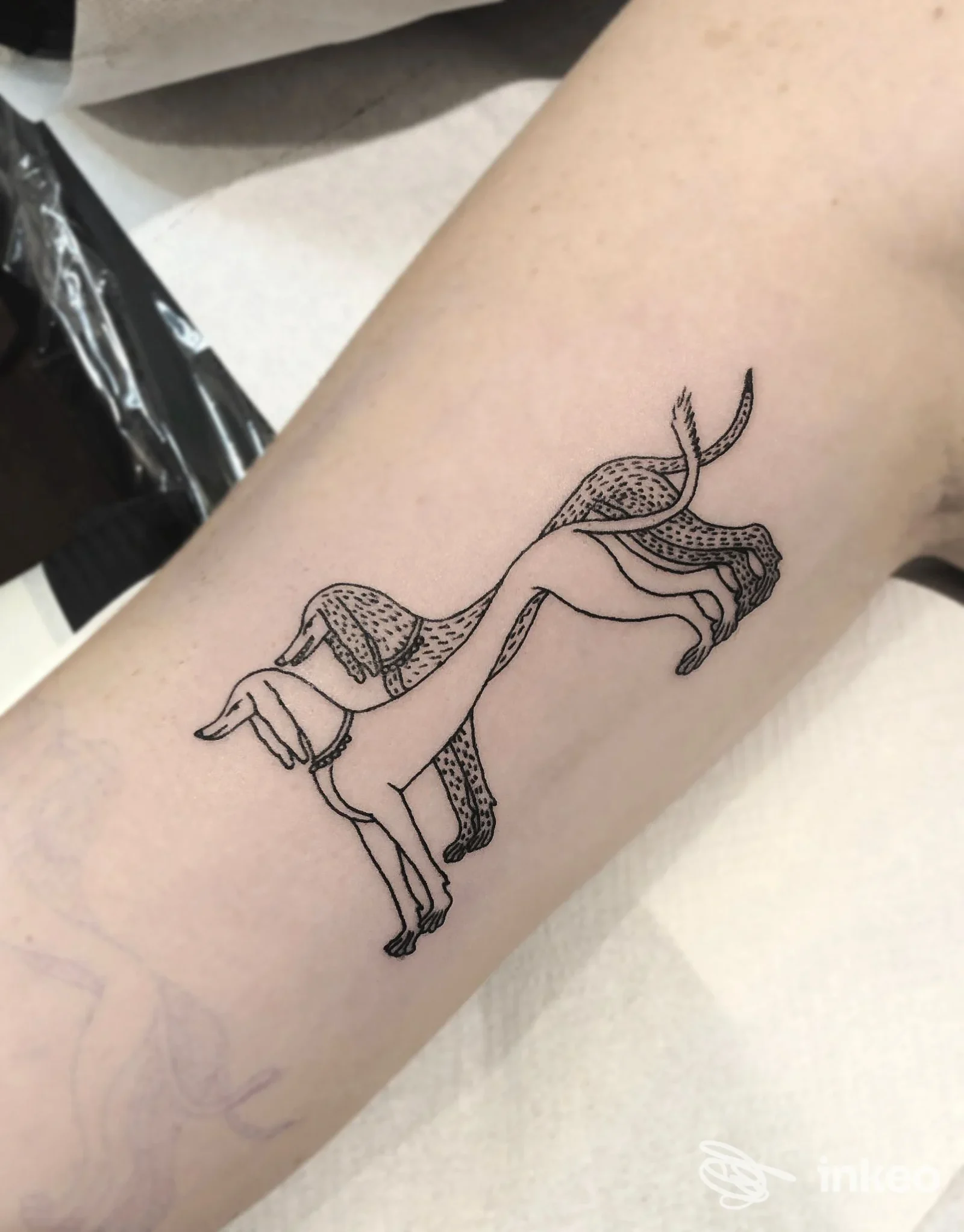 Tatuaggio stilizzato in nero di una volpe/levriero sull'avambraccio, realizzato da Youcore Tattoo (Sweaty Betty’s), Firenze.