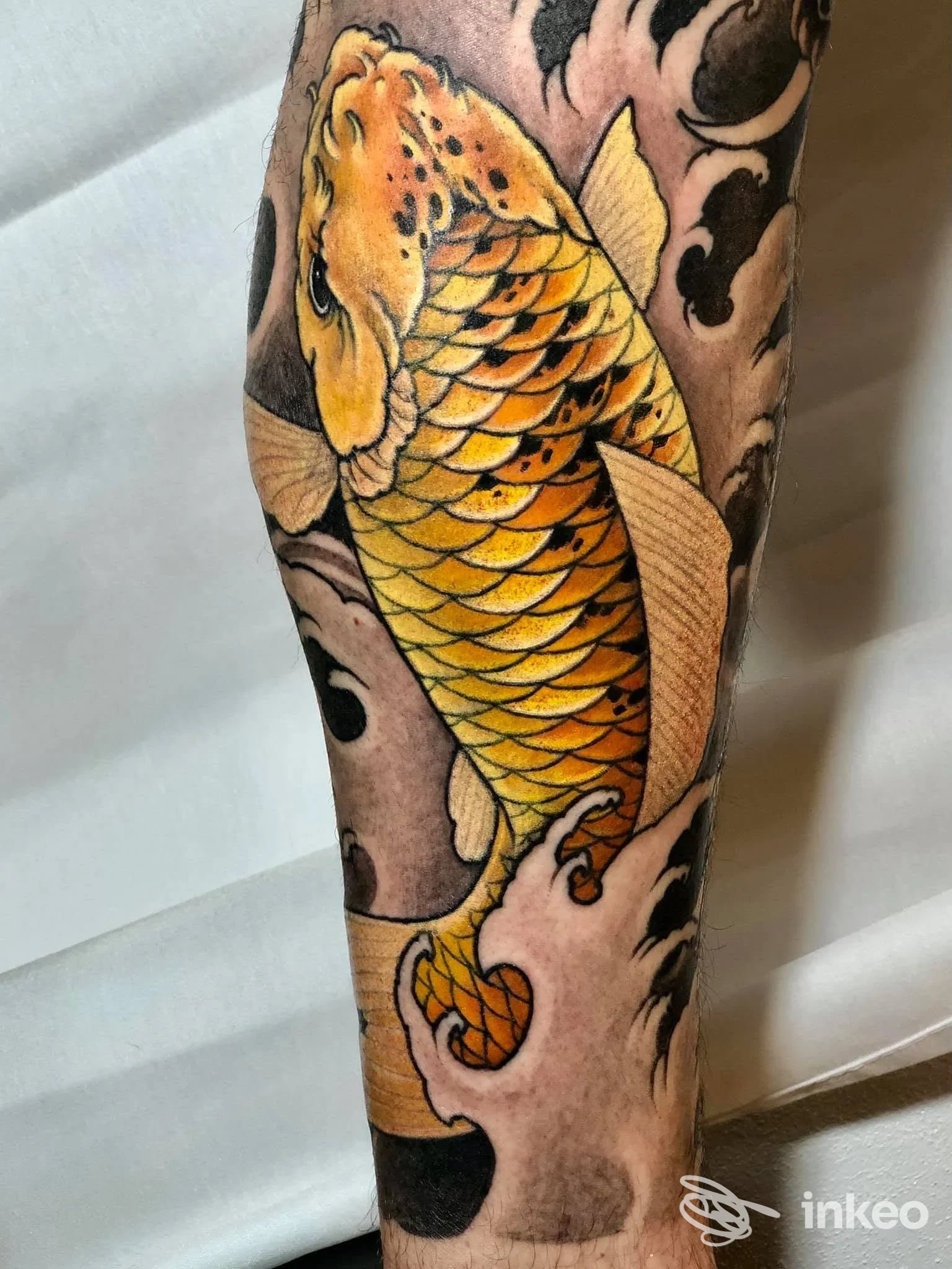 Tatuaggio koi giallo-arancione con sfondo nero/grigio su avambraccio, realizzato da Adriano Dall'Alpi Tattooing a Fucecchio.