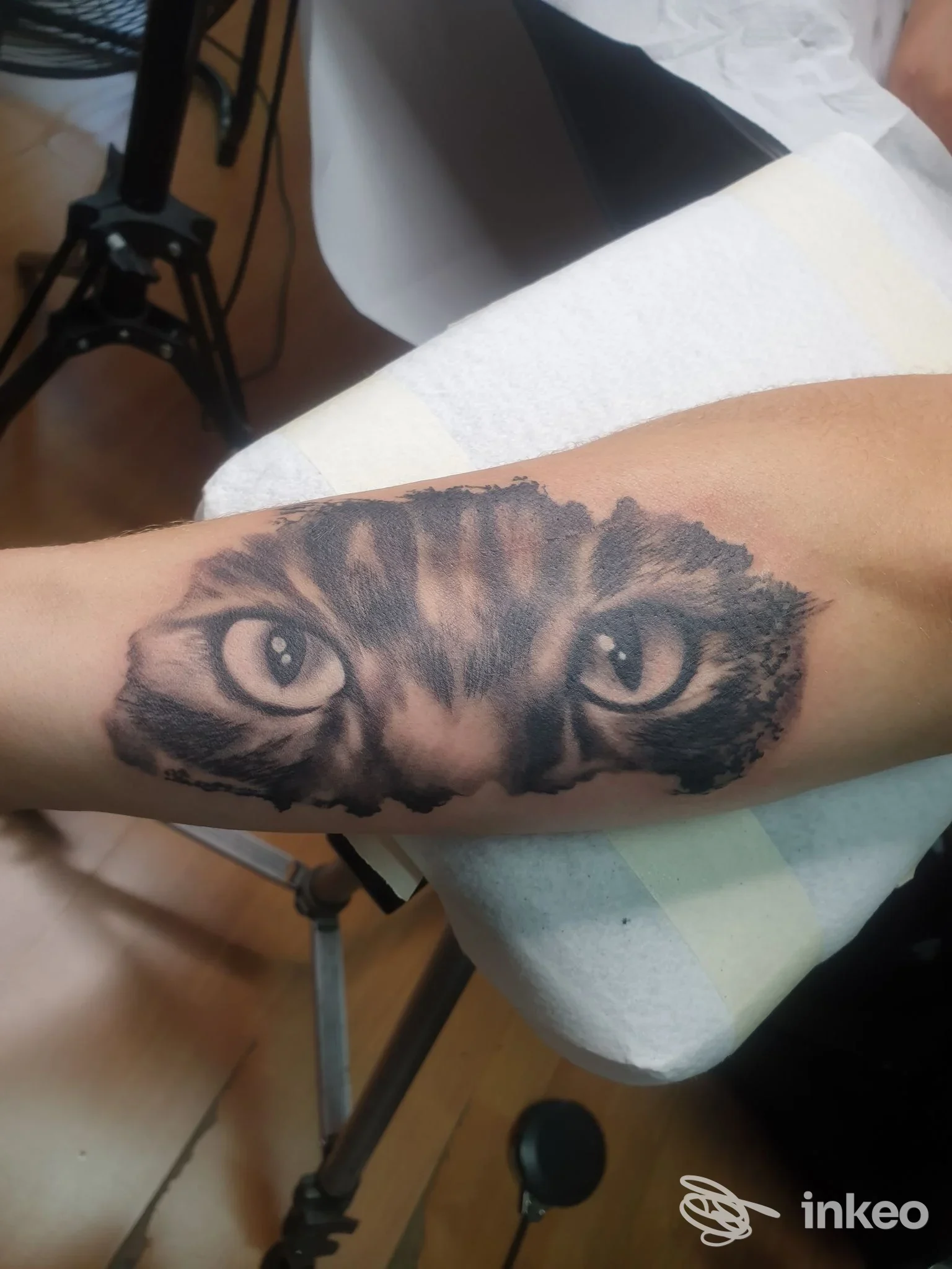 Primo piano di un tatuaggio occhi di gatto sull'avambraccio, foto dello studio AnimaTinta tattoo shop a Pontedera.