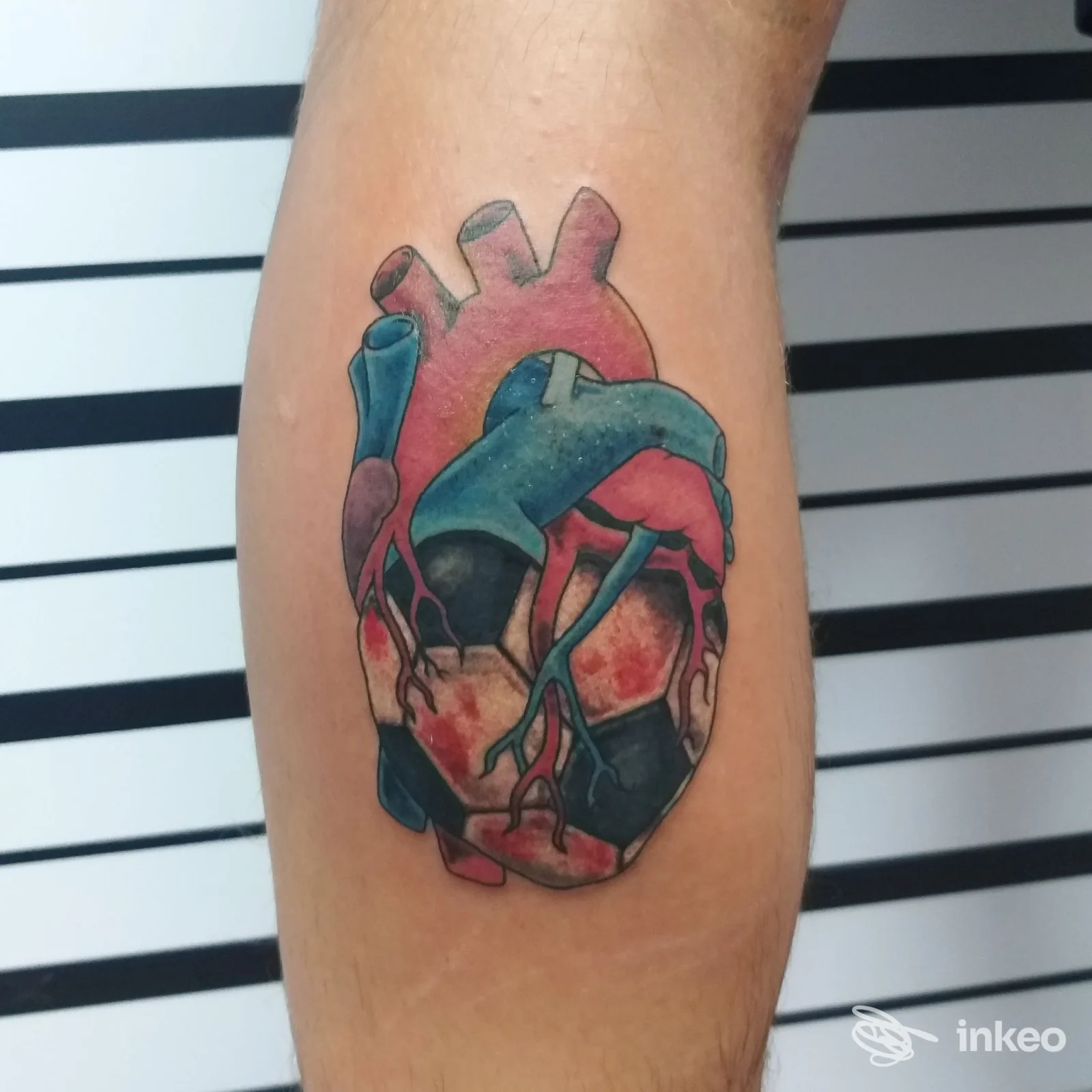 Tatuaggio anatomico a colori (cuore umano) con venature blu e rosse sul polpaccio, realizzato da Be Honest Tattoo di Simona Sii Onesto a Cecina.