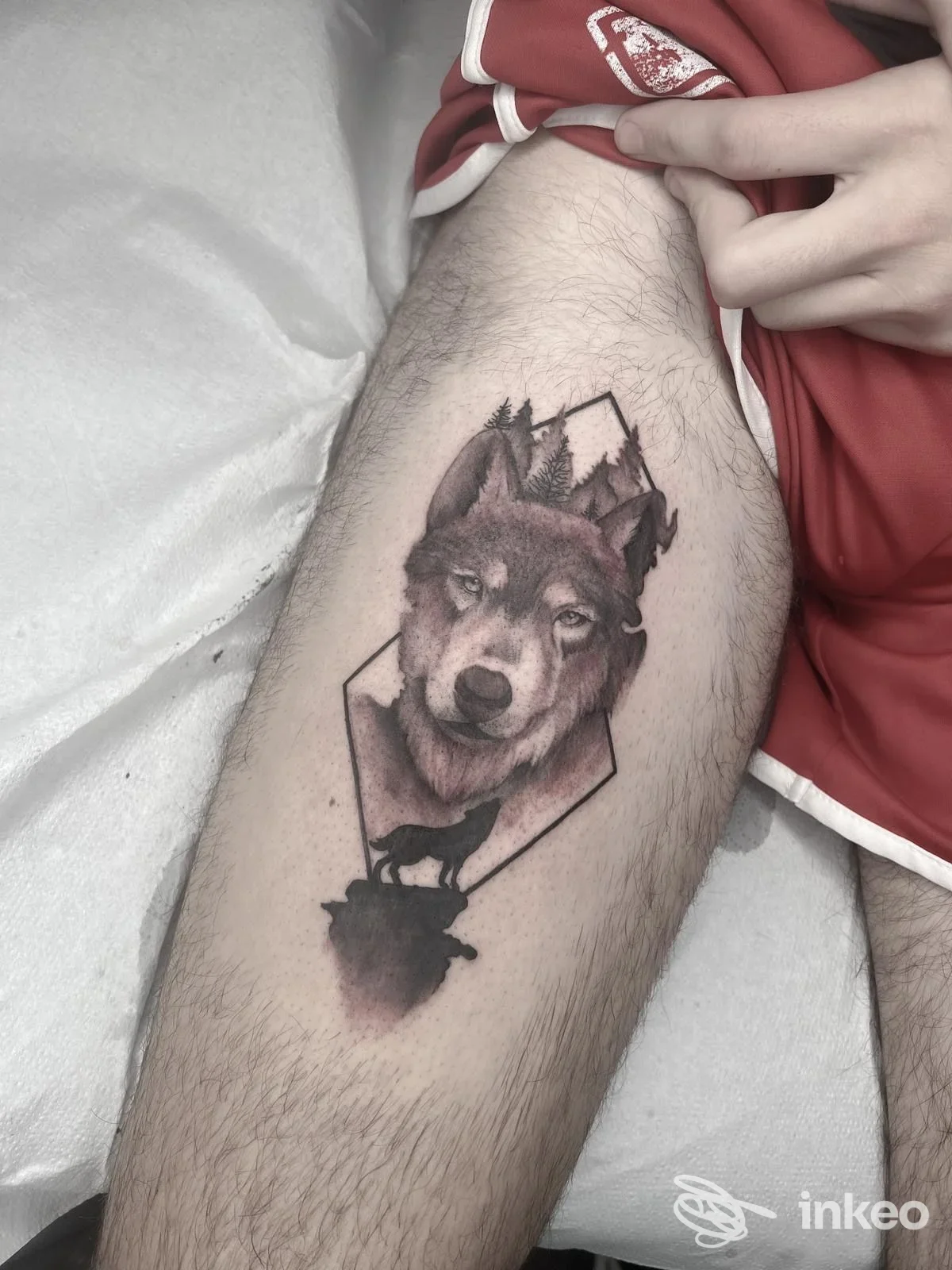 Tatuaggio realistico di un lupo sulla coscia, Black Rose Tatto Studio, Collesalvetti.