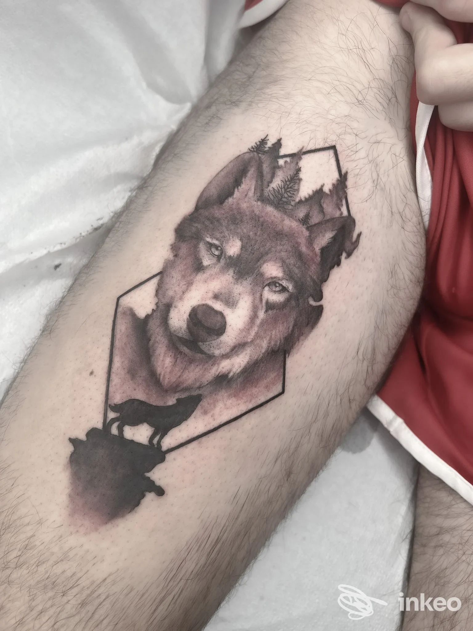 Tatuaggio di un lupo realistico sulla coscia, Black Rose Tattoo e Piercing studio, Pontedera.