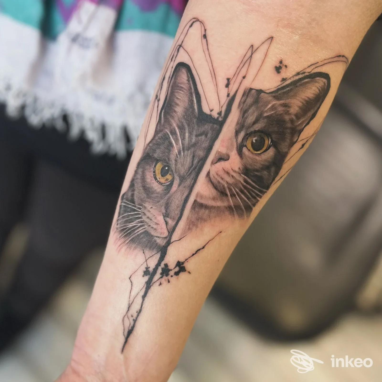 Tattoo realistico di gatto sull'avambraccio, dettagli realistici sugli occhi dorati e sul pelo, design diviso da una linea grafica.