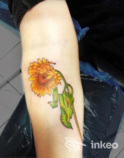 Tatuaggio colorato di un girasole sull'avambraccio, foto fornita da Cozmic Tattoo & Piercing, Aulla.