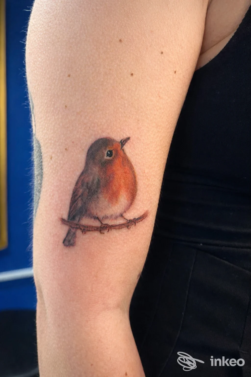 Tatuaggio realistico di un pettirosso su braccio/avambraccio, immagine inviata da GINGER TATTOO, Carrara.