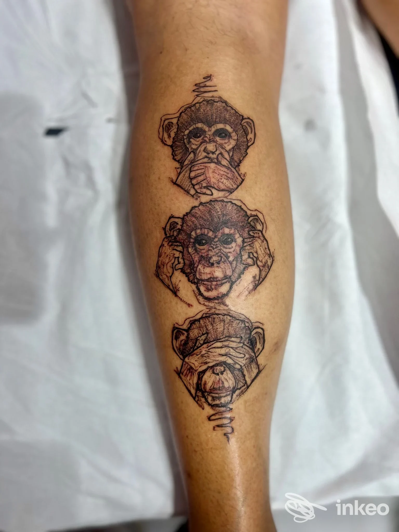 Tatuaggio sul polpaccio con tre volti di scimmia in verticale, realizzato da GINGER TATTOO a Carrara.