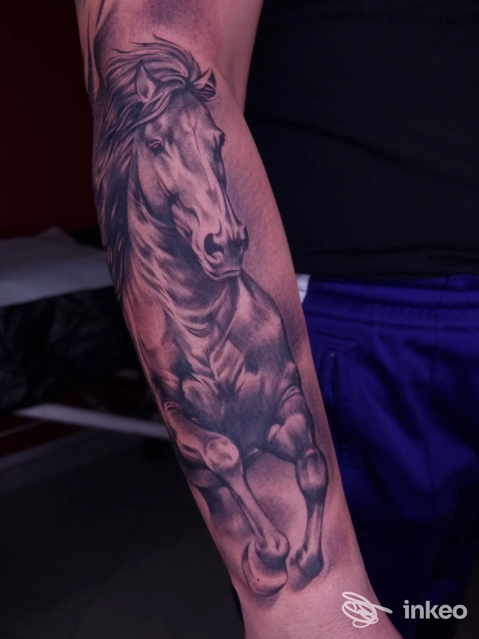 Tatuaggio realistico di un cavallo in bianco e nero sull'avambraccio, lavoro di ARTCORE Tattoo & Piercing a Lastra a Signa.
