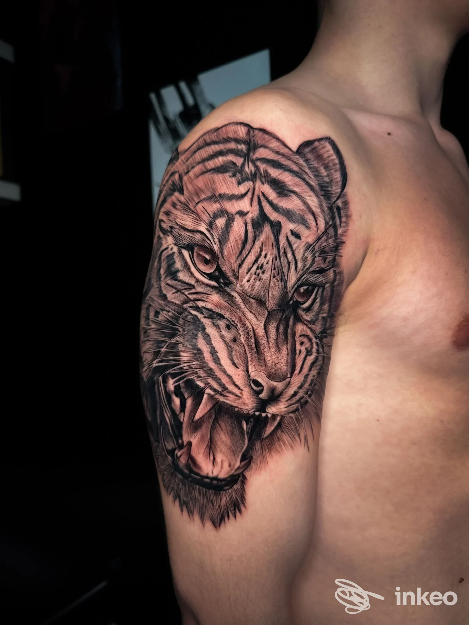 Tatuaggio realistico di una testa di tigre sulla spalla, fotografia dello studio AM_Tattoo Studio a Montemurlo.