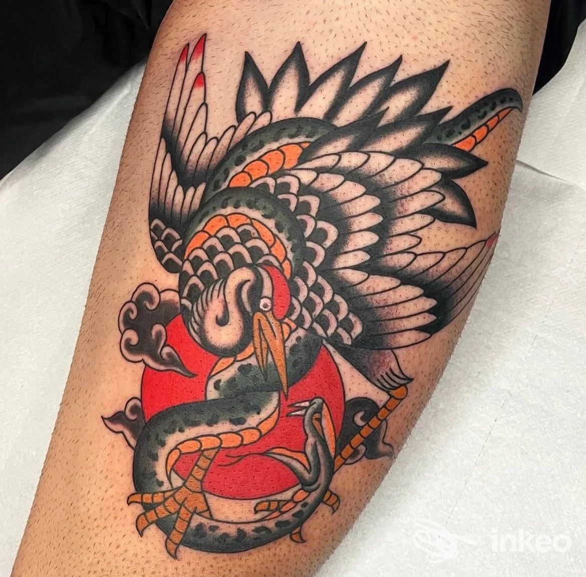 Tatuaggio tradizionale di uccello e serpente sul polpaccio, neri, rossi e arancioni. Cry Baby Tattoo Parlour, Arezzo.