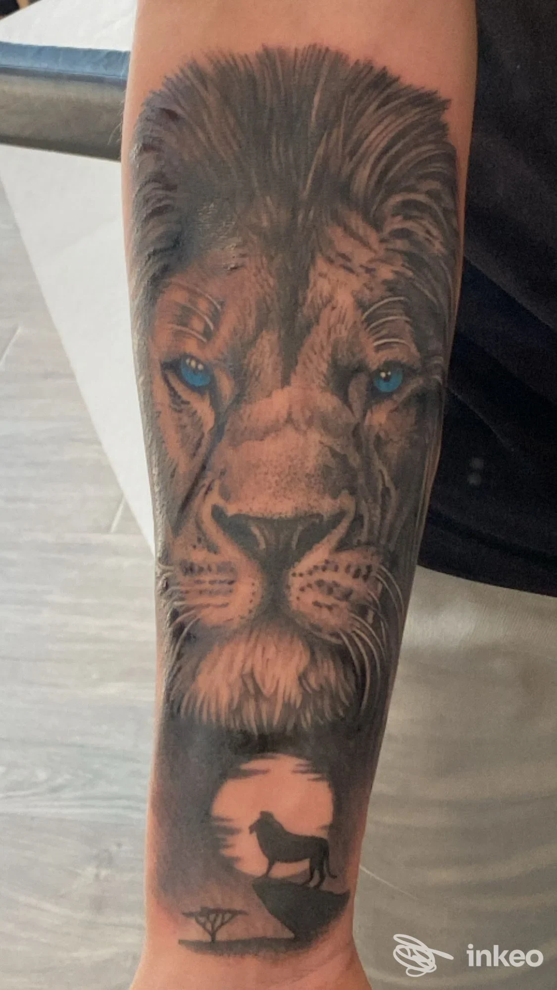 Grande tatuaggio realistico di un leone con scena a silhouette e cavallo sull'avambraccio. La Bottega di' Tatuaggio, Borgo San Lorenzo.