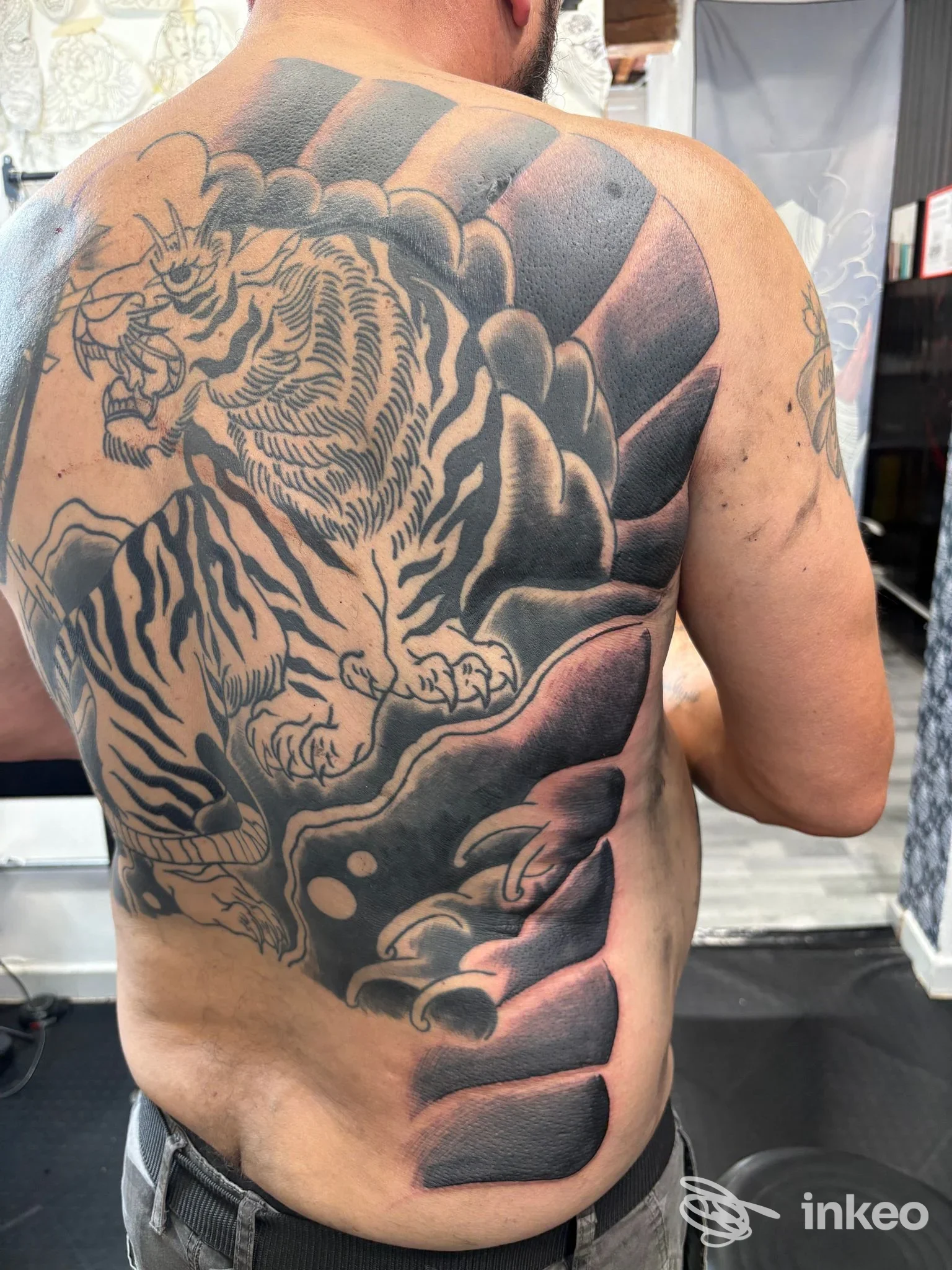Ampia schiena tatuata con tigre in nero e grigio, foto di Malasangre tattoo, Livorno.