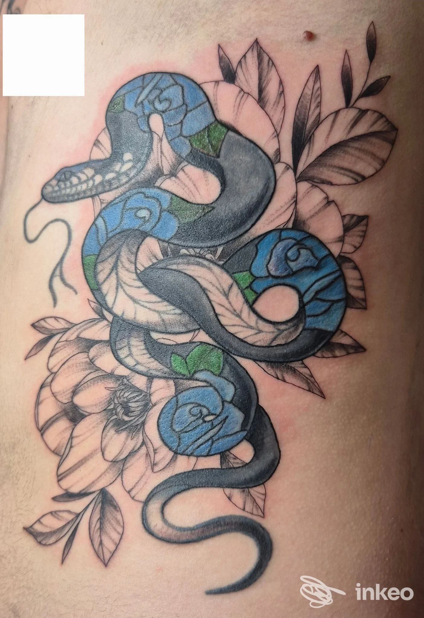 Tatuaggio a fianco raffigurante un serpente blu e fiori, foto fornita da Pink Tattoo Studio ad Arezzo.