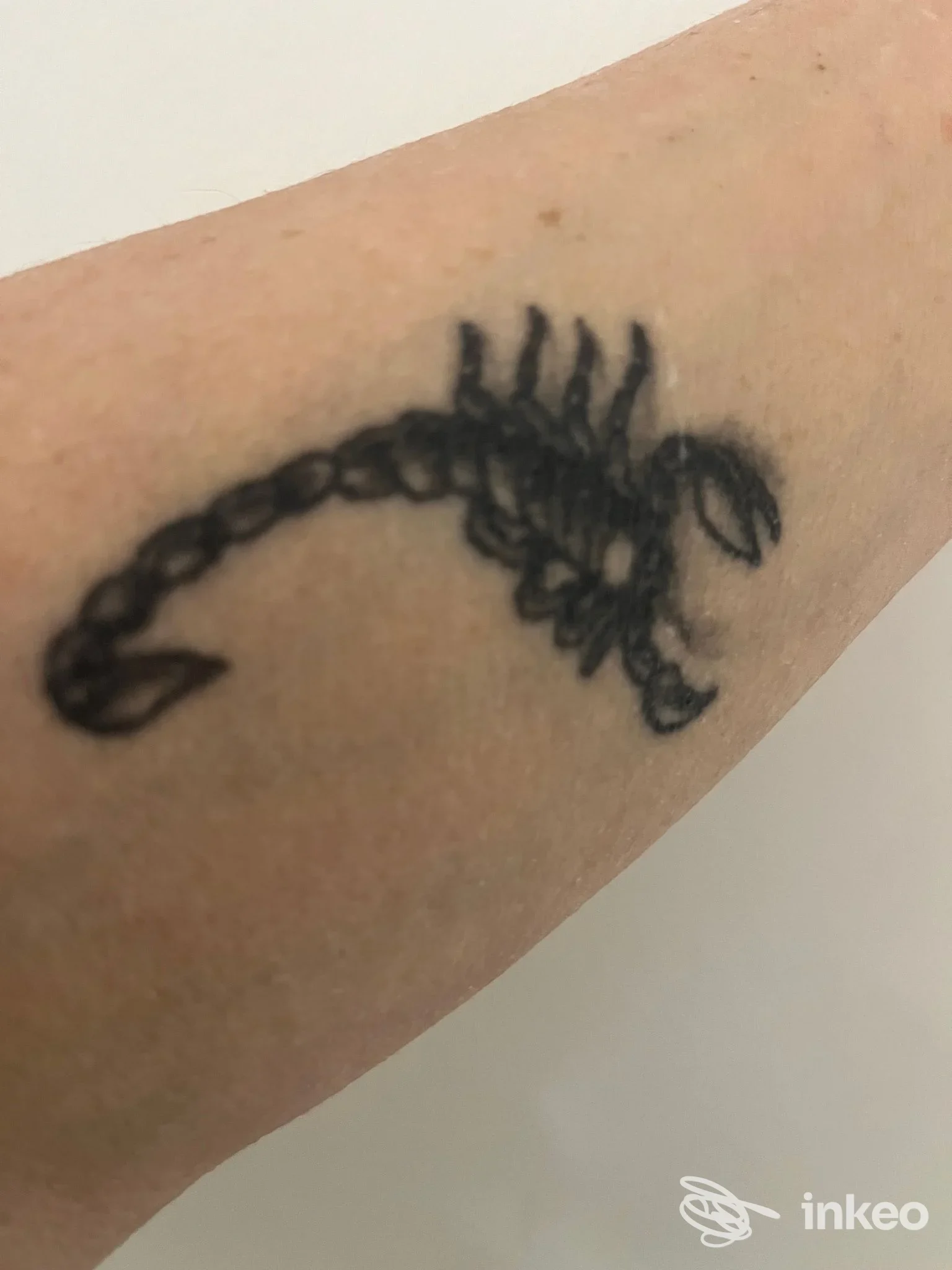 Primo piano di un tatuaggio a scorpione in nero sull'avambraccio, Pink Tattoo Studio Arezzo.