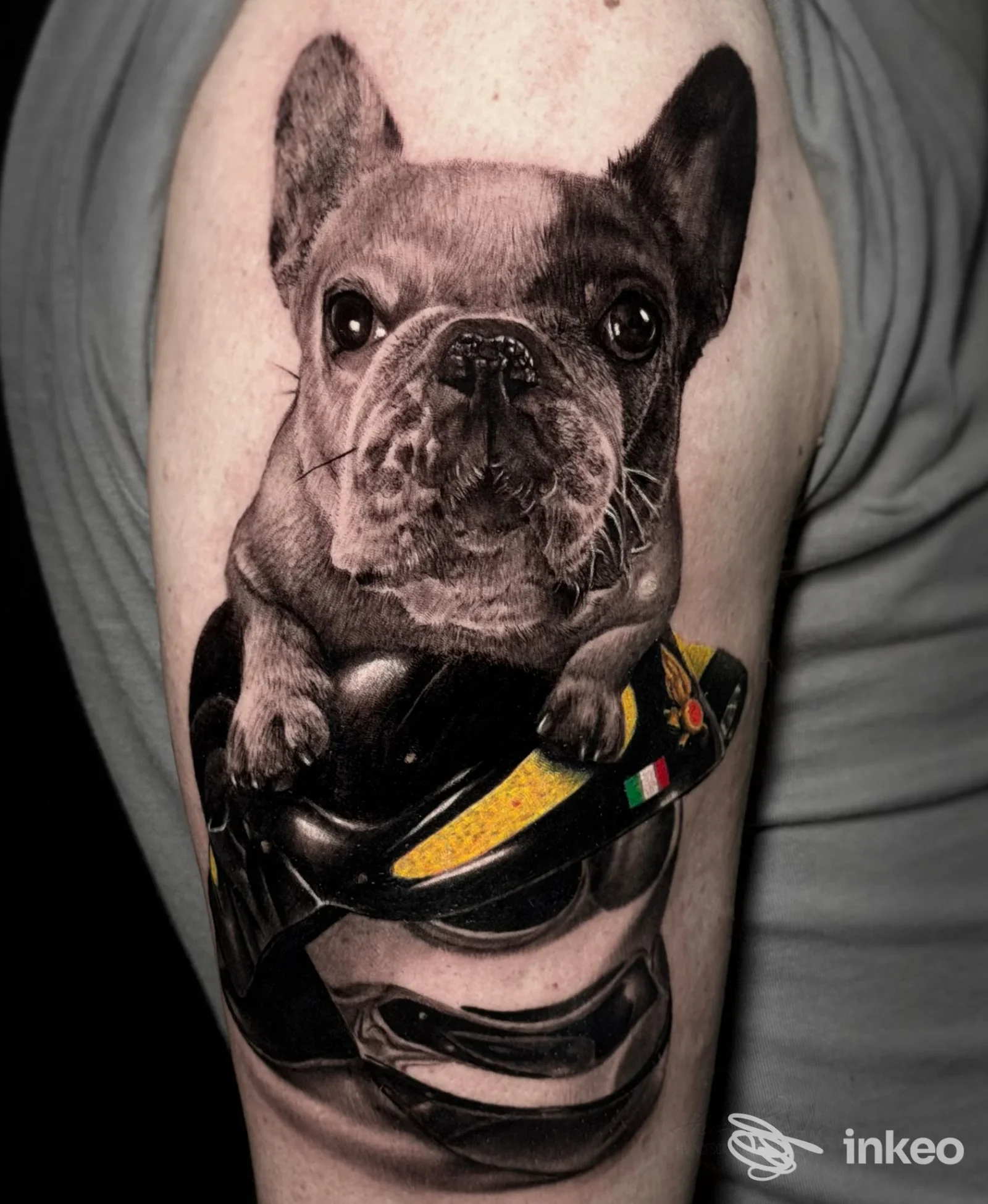Tatuaggio realistico di un bouledogue sul braccio, Panic Room Tattoo Studio, Grosseto.
