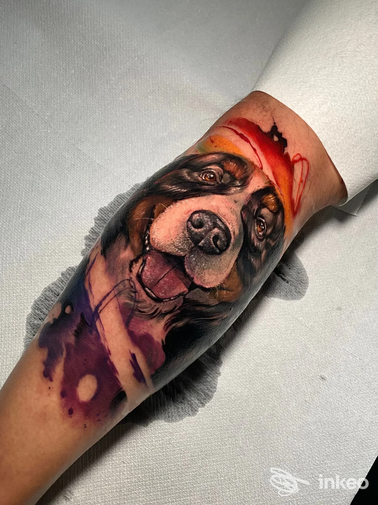 Tatuaggio realistico di un cane sull'avambraccio, foto per il portfolio di Tattooa - tatuaggi e piercing a Navacchio.