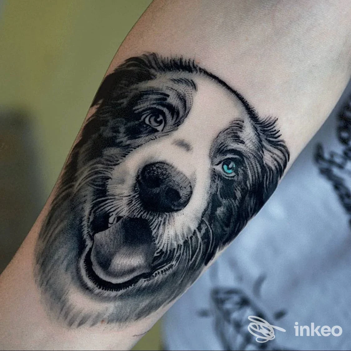 Tatuaggio realistico di cane sull'avambraccio, scatto nitido. Tattooa - tatuaggi e piercing, Navacchio.