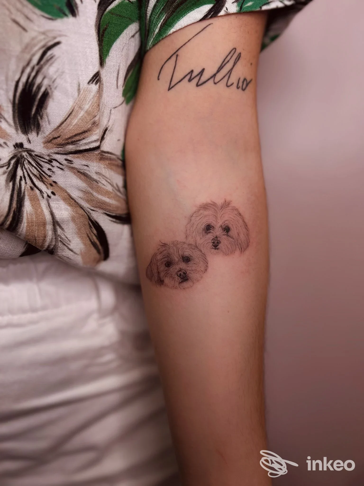 Due piccoli ritratti di cani tatuati sull'avambraccio interno, foto fornita da 31 ink Tattoo a Rovereto.