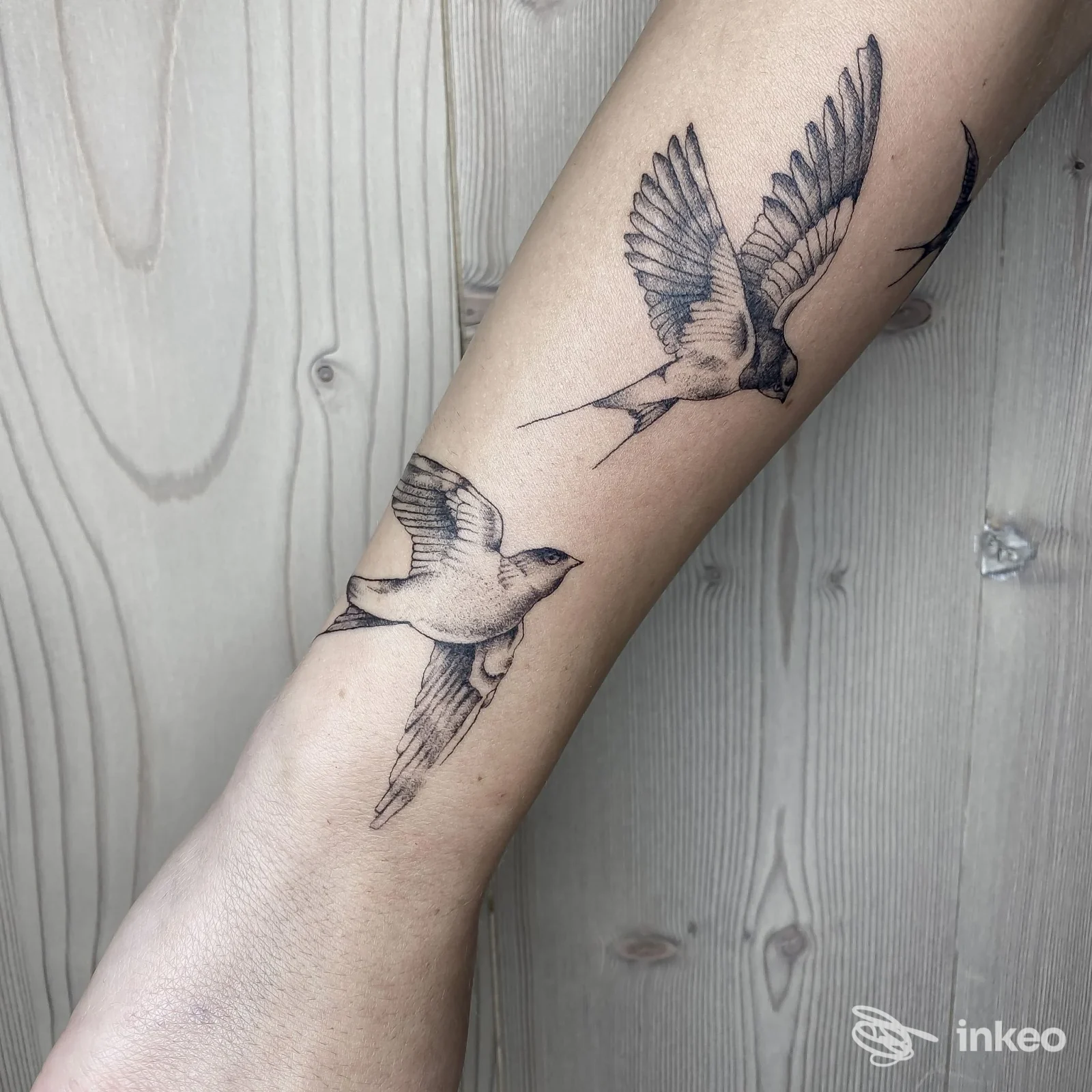 Dettaglio di due rondini tatuate in nero sull'avambraccio, foto di Athena Tattoo Studio a Cles.