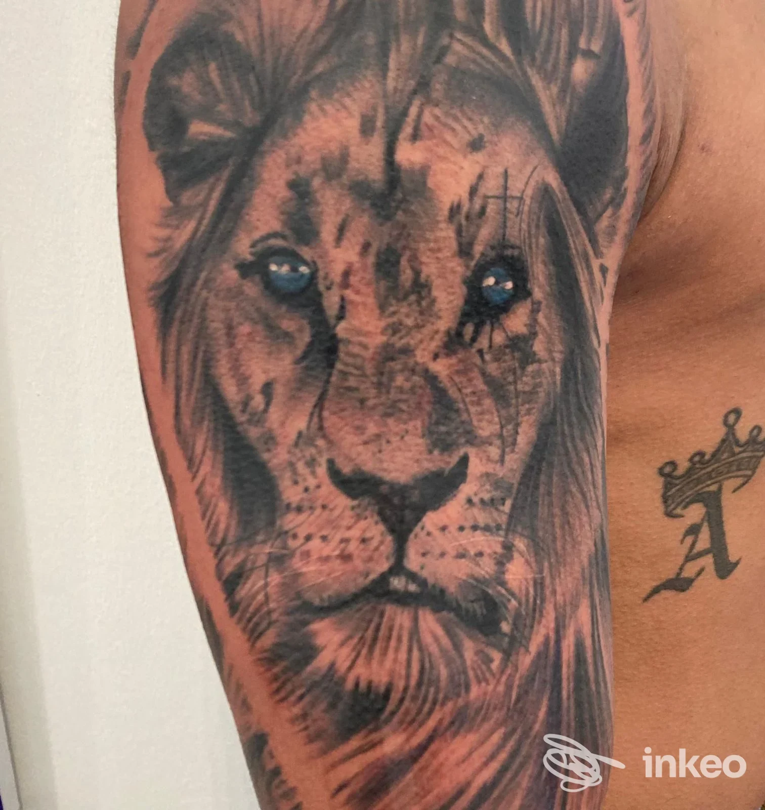 Tatuaggio realistico di una testa di leone sul braccio superiore, eseguito da Blackpanther Piercing & Tattoo, Trento.