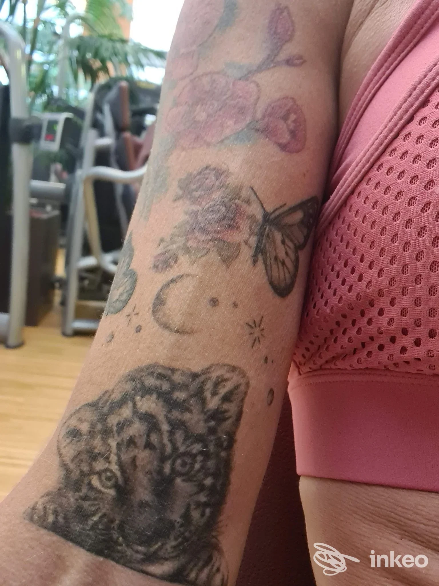 Avambraccio tatuato con tigrotto, farfalla e fiori, foto dello studio Divine Tattoo a Runggaditsch.