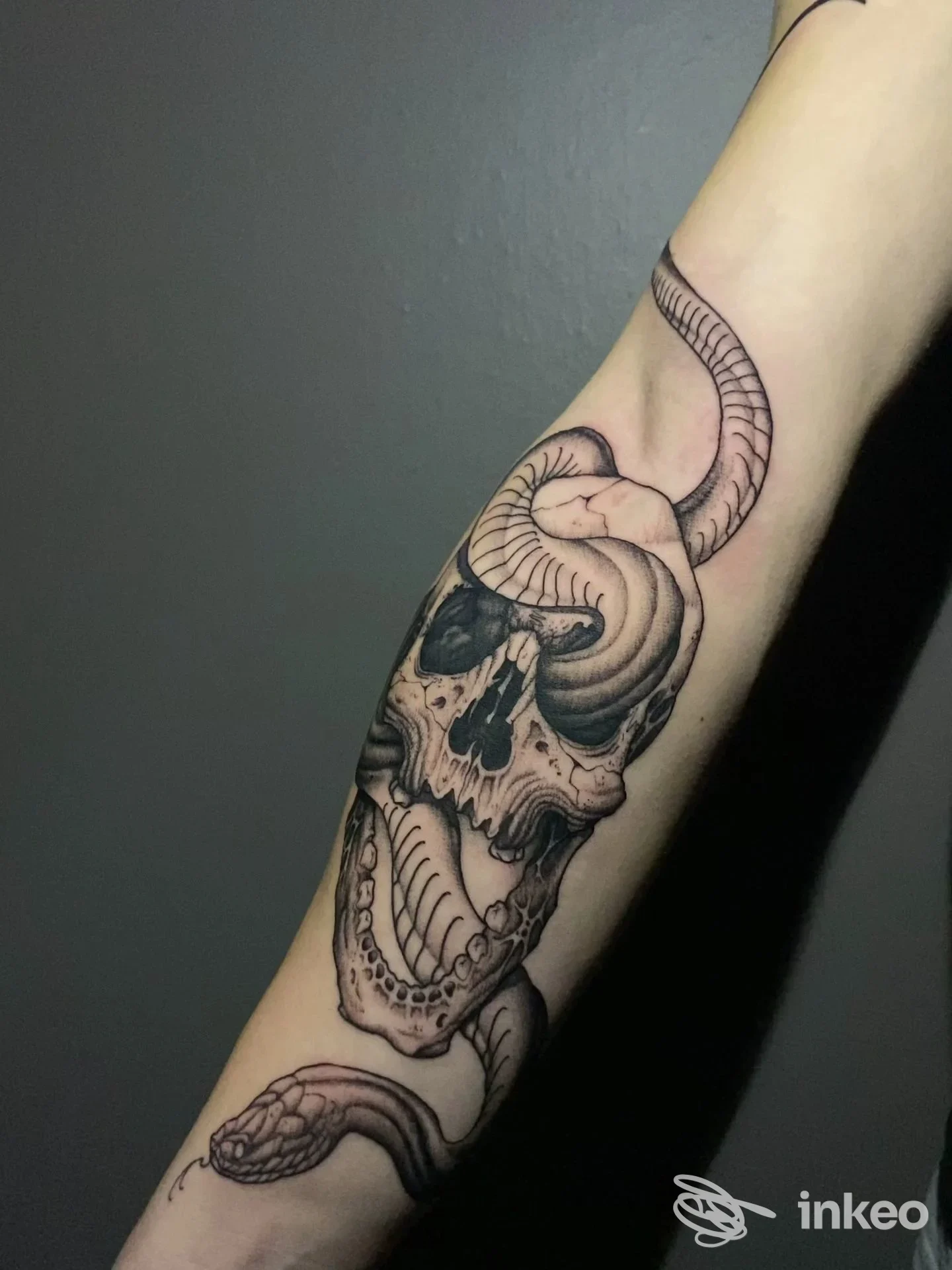 Tatuaggio su avambraccio con teschio e serpente, Absolute Tattoo & Piercing Studio, Riva del Garda.