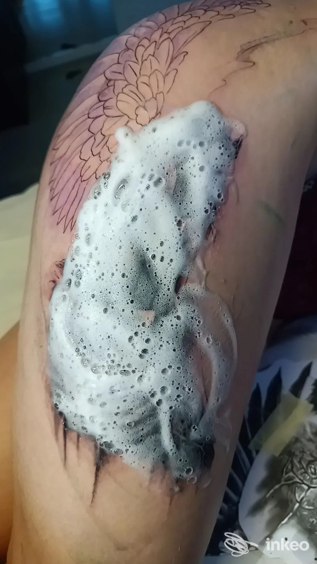 Braccio con tatuaggio in lavorazione coperto di schiuma, contorno di ali visibile. Endless Tattoo BZ, Bolzano.