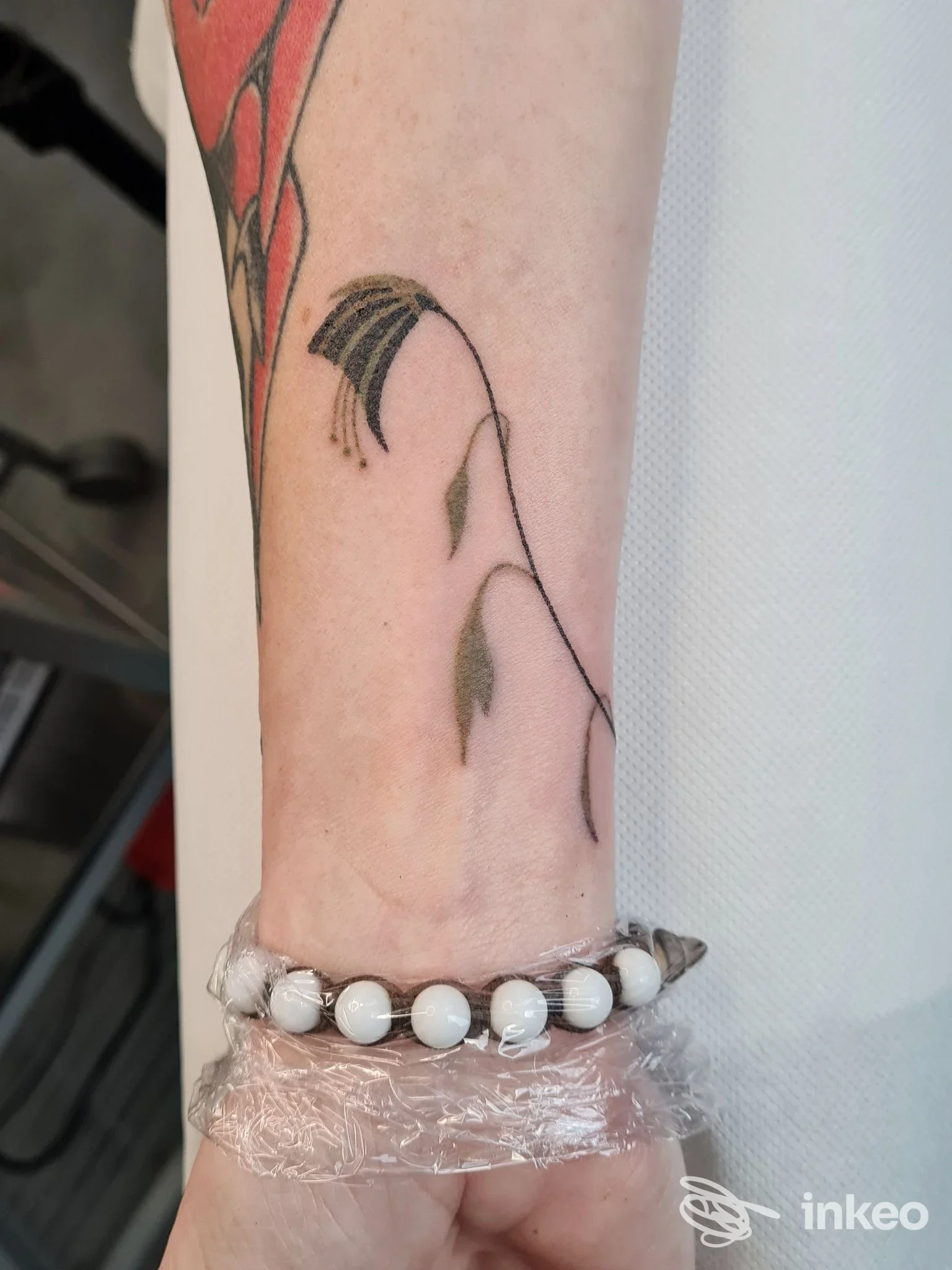 Tatuaggio vegetale a stelo e foglie sull'avambraccio. Endorphina Tattoo Piercing & Jewelry, Arco.