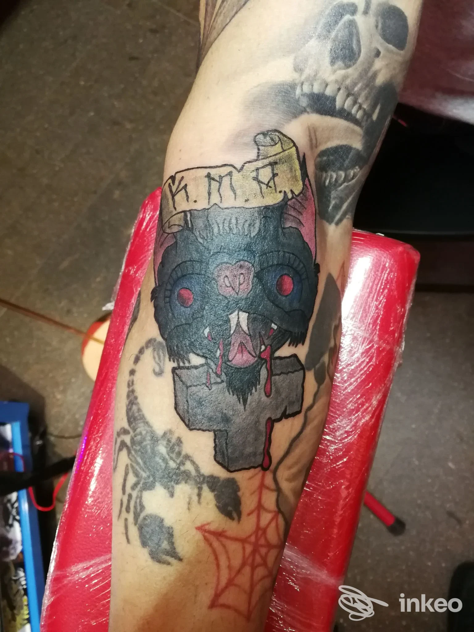 Tatuaggio a tema animale sull'avambraccio, scatto di Indigos Tattoo & Piercing, Pergine Valsugana.