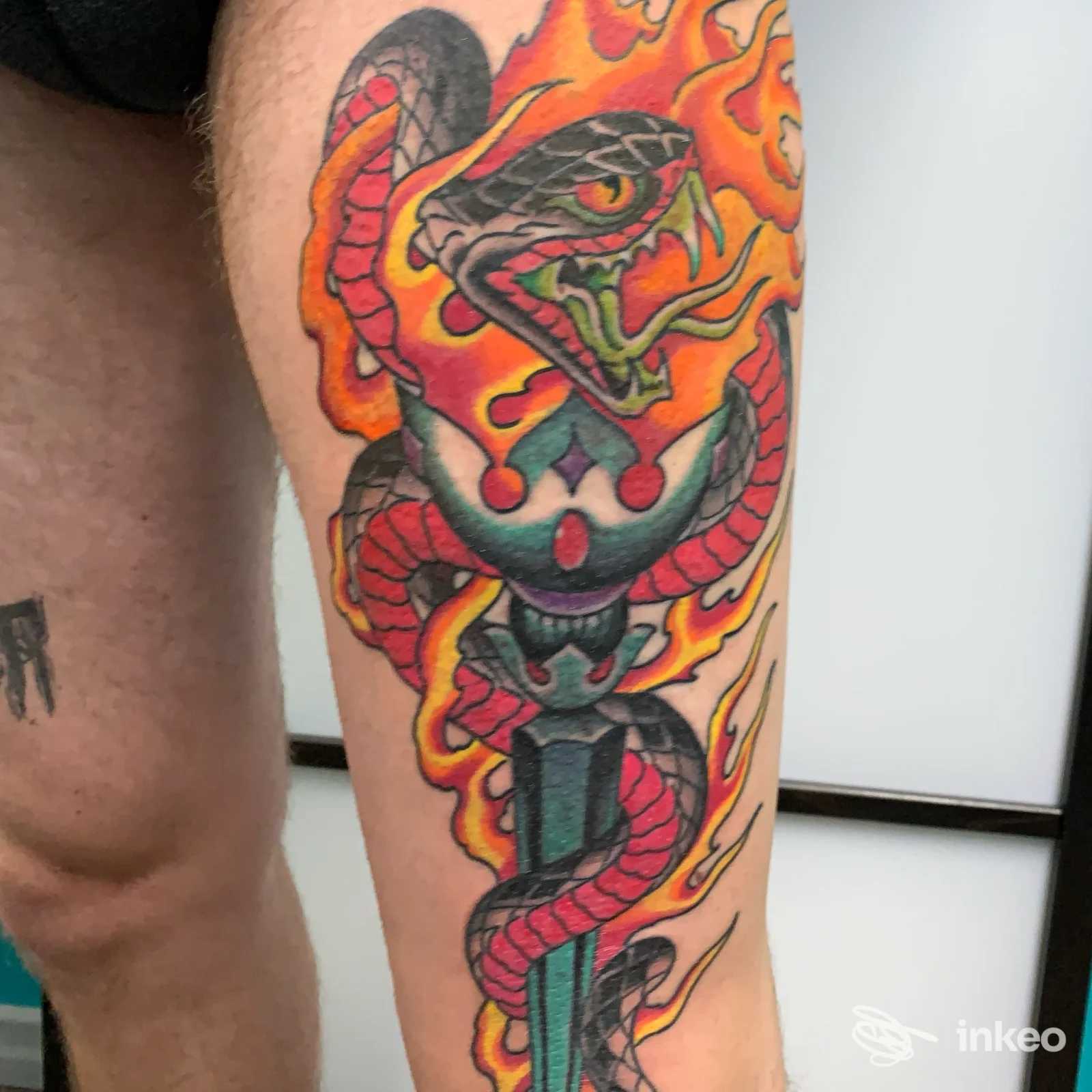 Tatuaggio colorato su polpaccio raffigurante un serpente e un pugnale, Indigos Tattoo & Piercing, Pergine Valsugana.