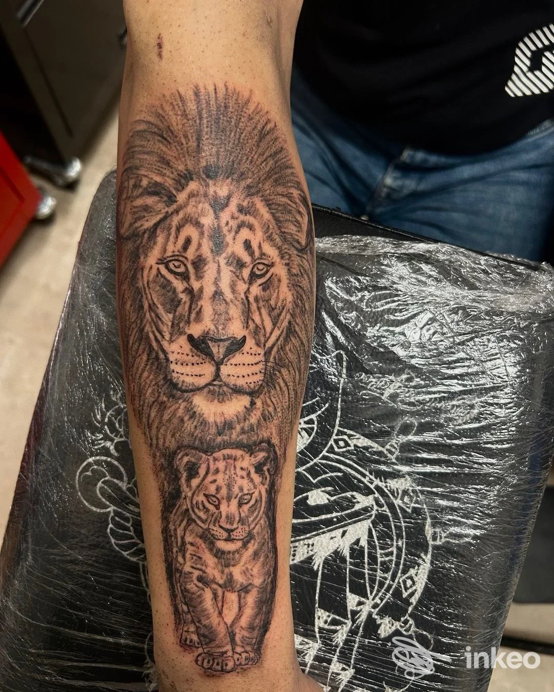 Tatuaggio realistico in bianco e nero di un leone e un cucciolo sull'avambraccio, foto fornita da Jack Art - Tattoo & Piercing, Laives.