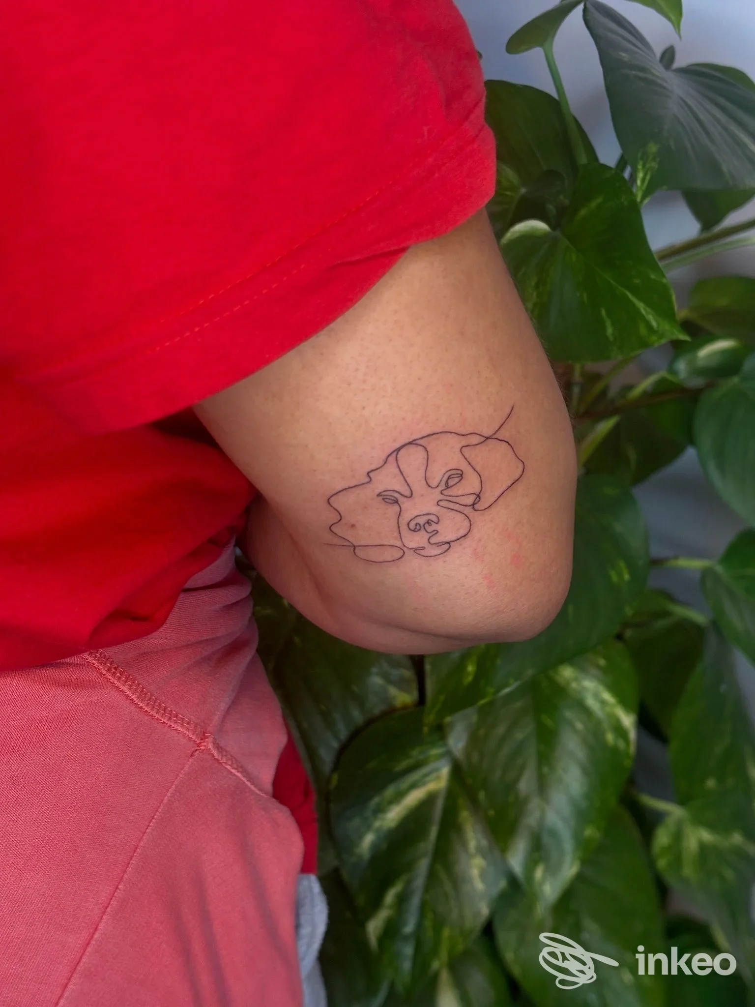 Tatuaggio lineare sulla parte interna del gomito, foto inviata da Lux Tattoo & Piercing Studio, Rovereto.