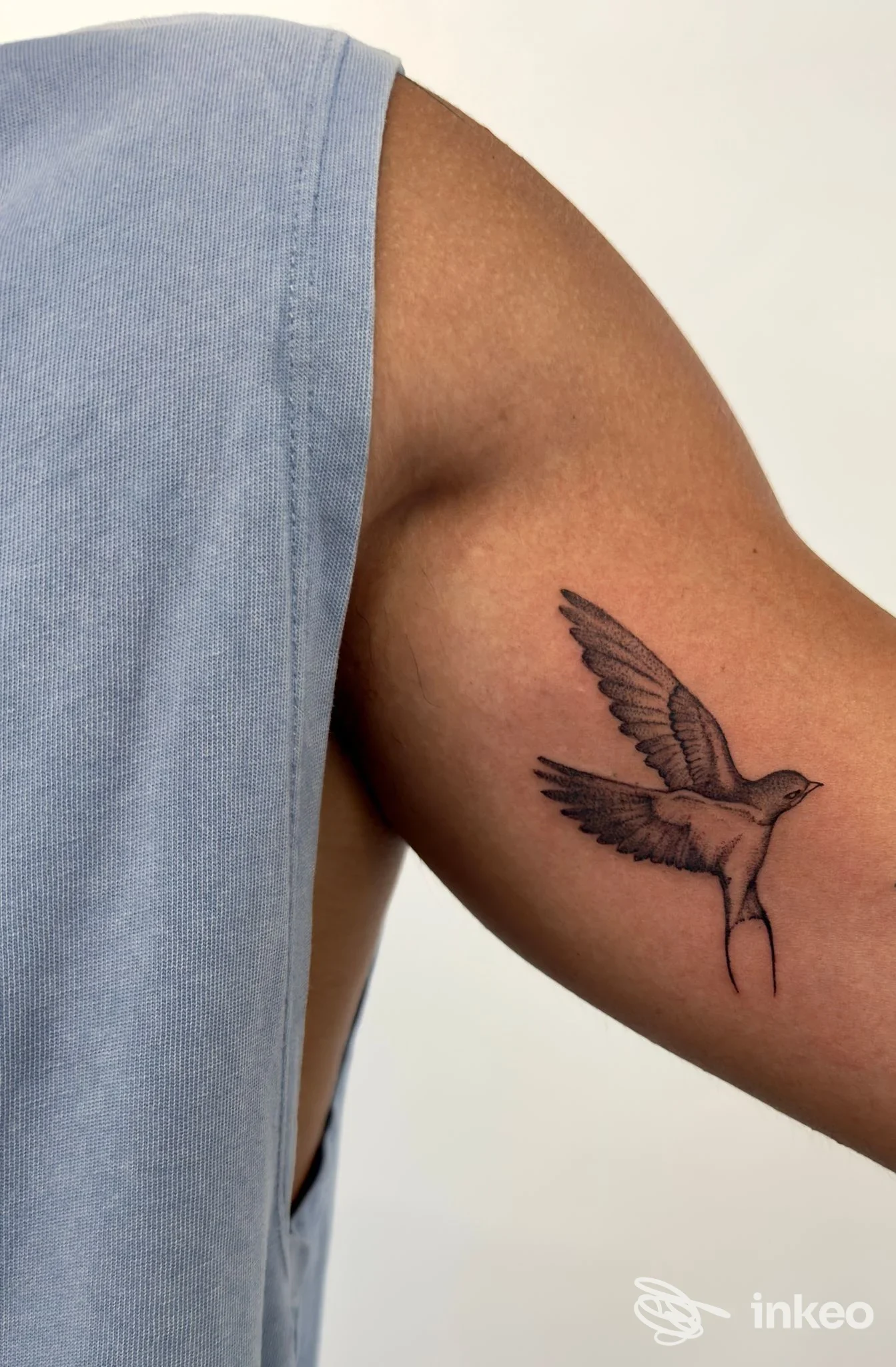 Tatuaggio di una rondine sull'interno del braccio, fotografia realizzata da Enfasi tattoo a Mollaro.