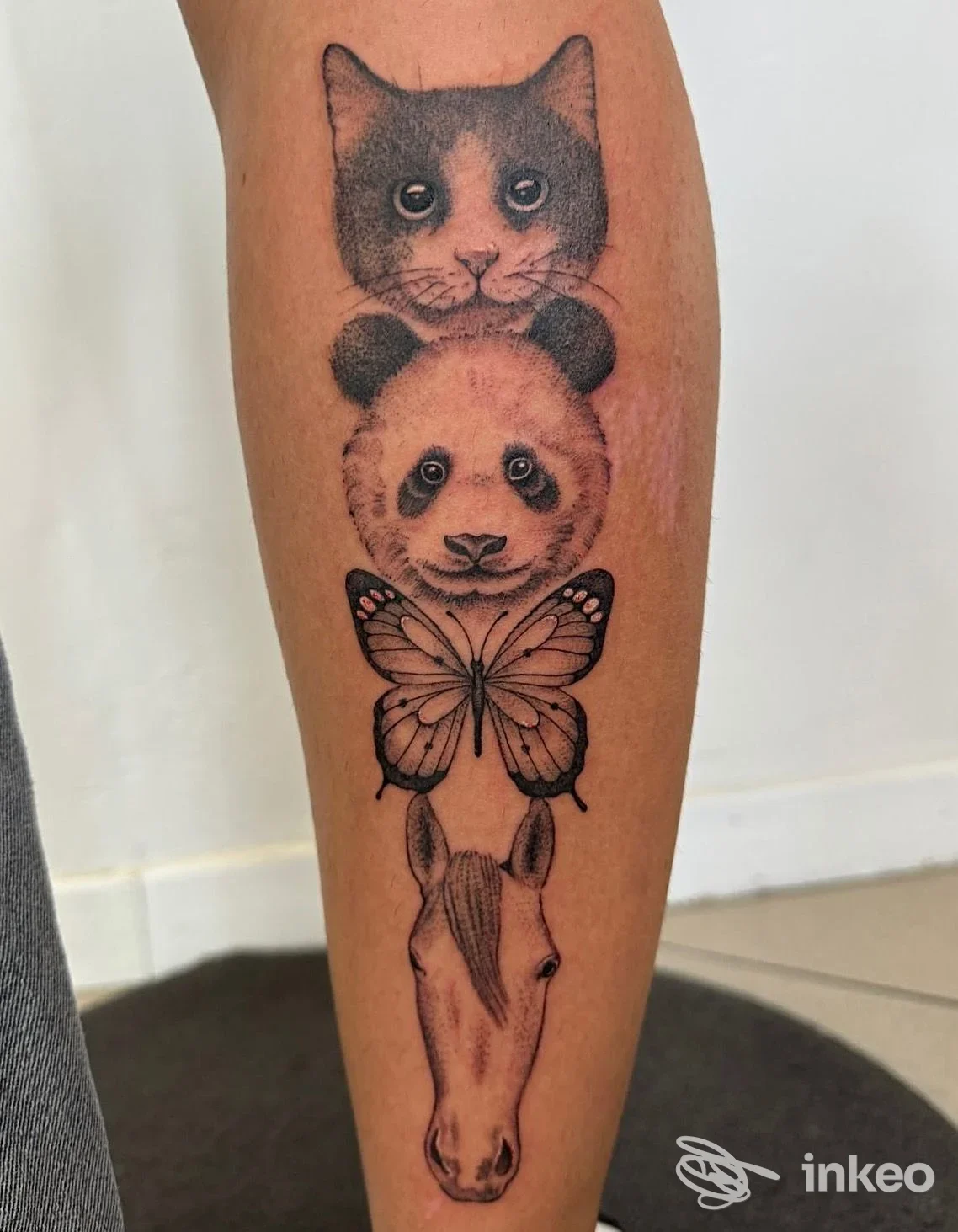 Tatuaggio su avambraccio con gatto, panda, farfalla e testa di cavallo — Enfasi tattoo, Mollaro.