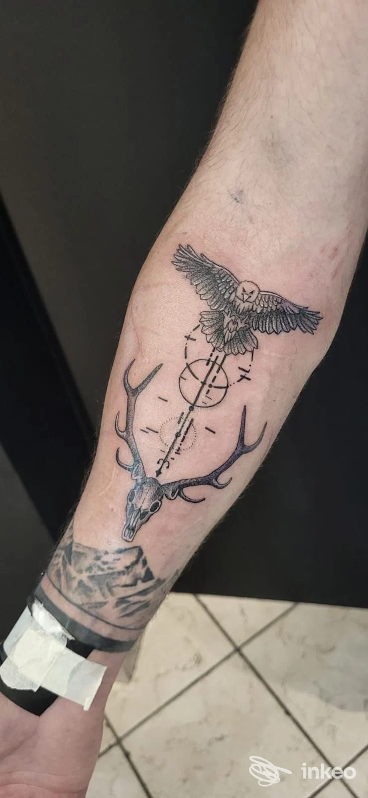 Tatuaggio su avambraccio con civetta e teschio di cervide, foto inviata da Naked Tattoo a Sarentino.