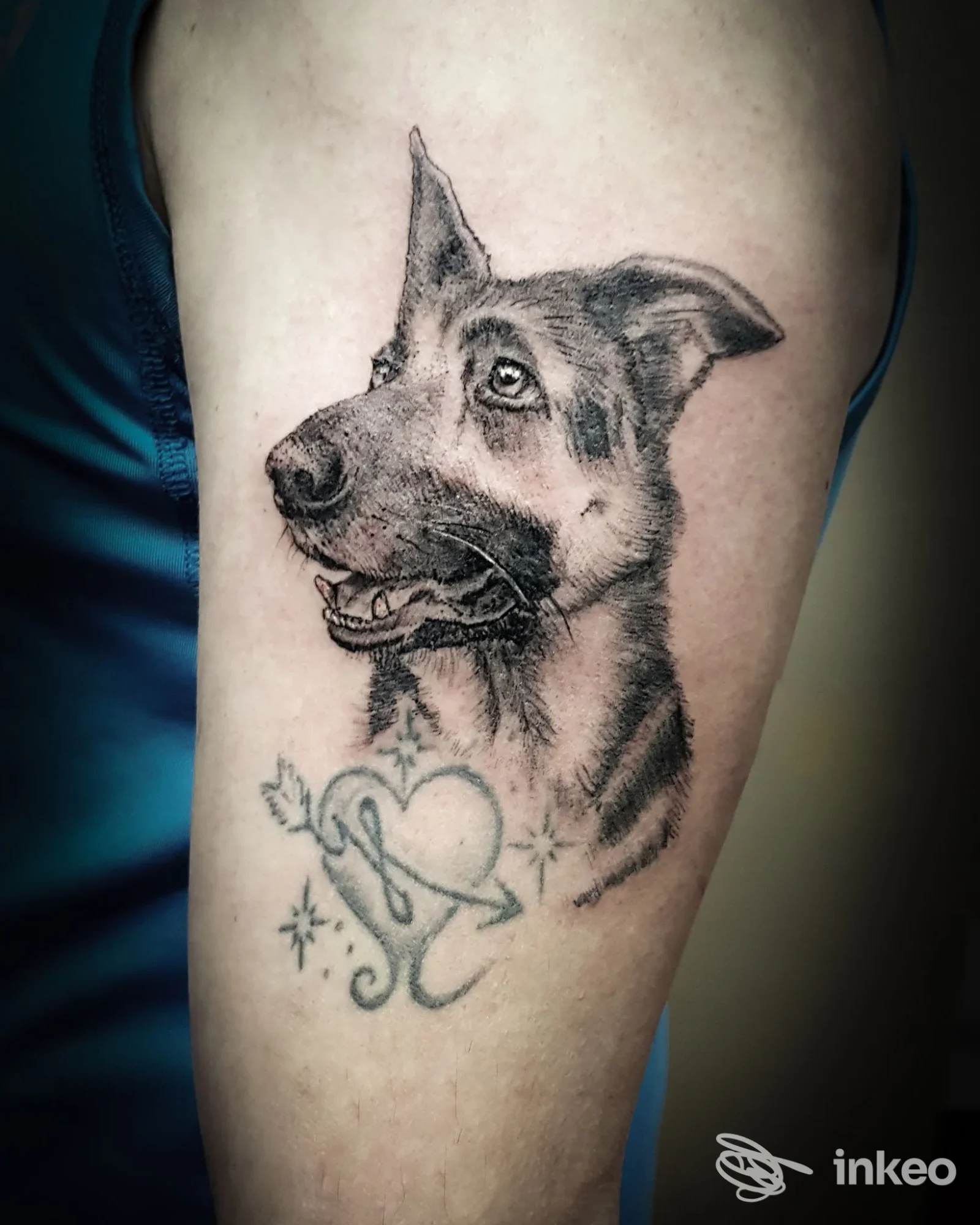 Tatuaggio ritratto realistico di un cane sull'avambraccio, Markus Bergmeister Tattoo Art, Naz‑Sciaves.