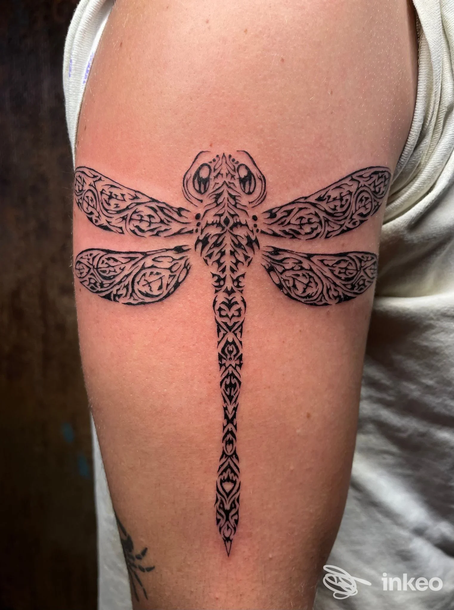Tatuaggio a forma di libellula con motivi ornamentali sul braccio superiore, Ornamentum Tattoo-Art by Flora, Siusi.
