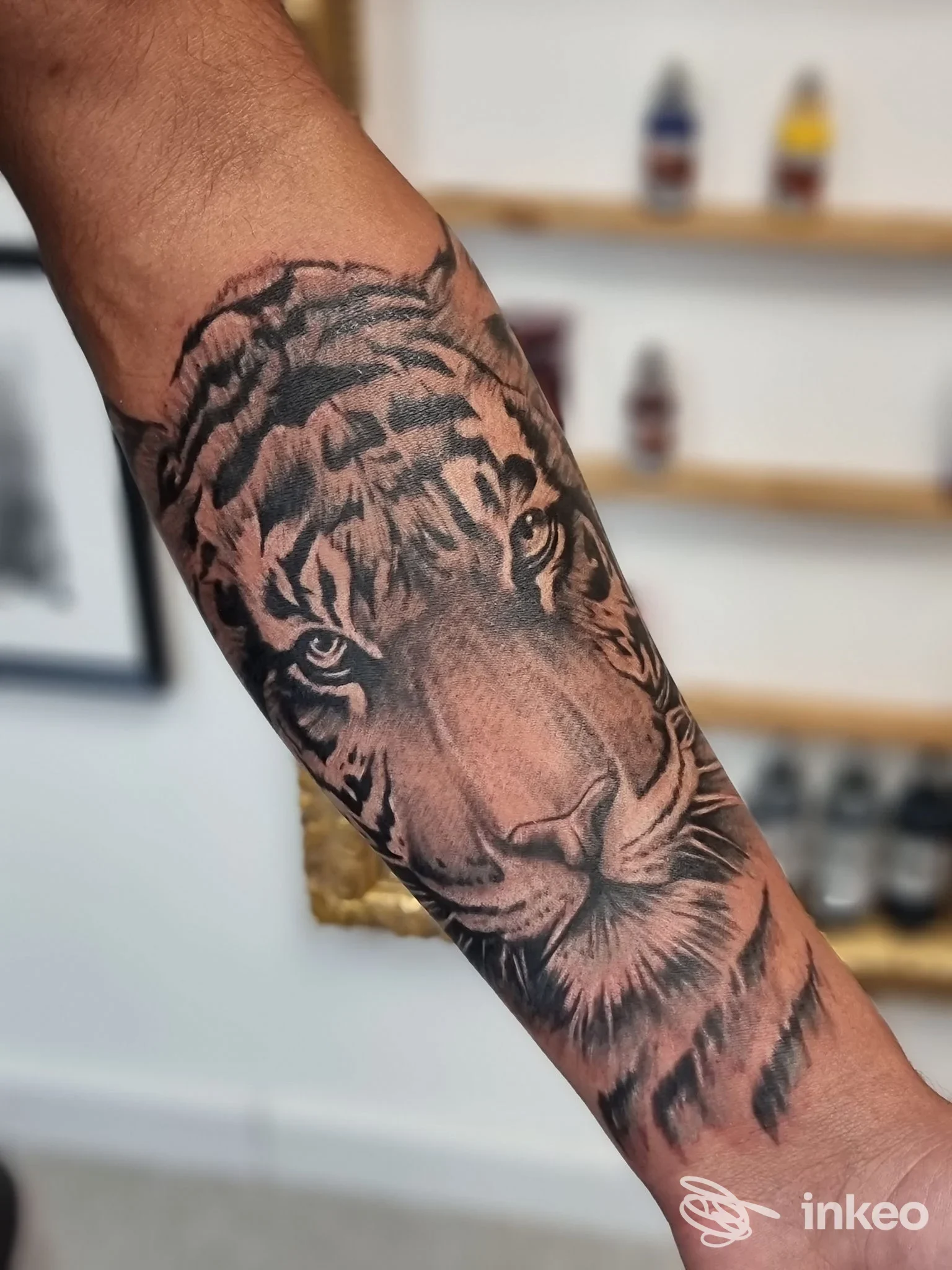 Tatuaggio realistico di una testa di tigre sull'avambraccio, foto dallo studio Rendena Ink Tattoo & Piercing Shop a Porte di Rendena.